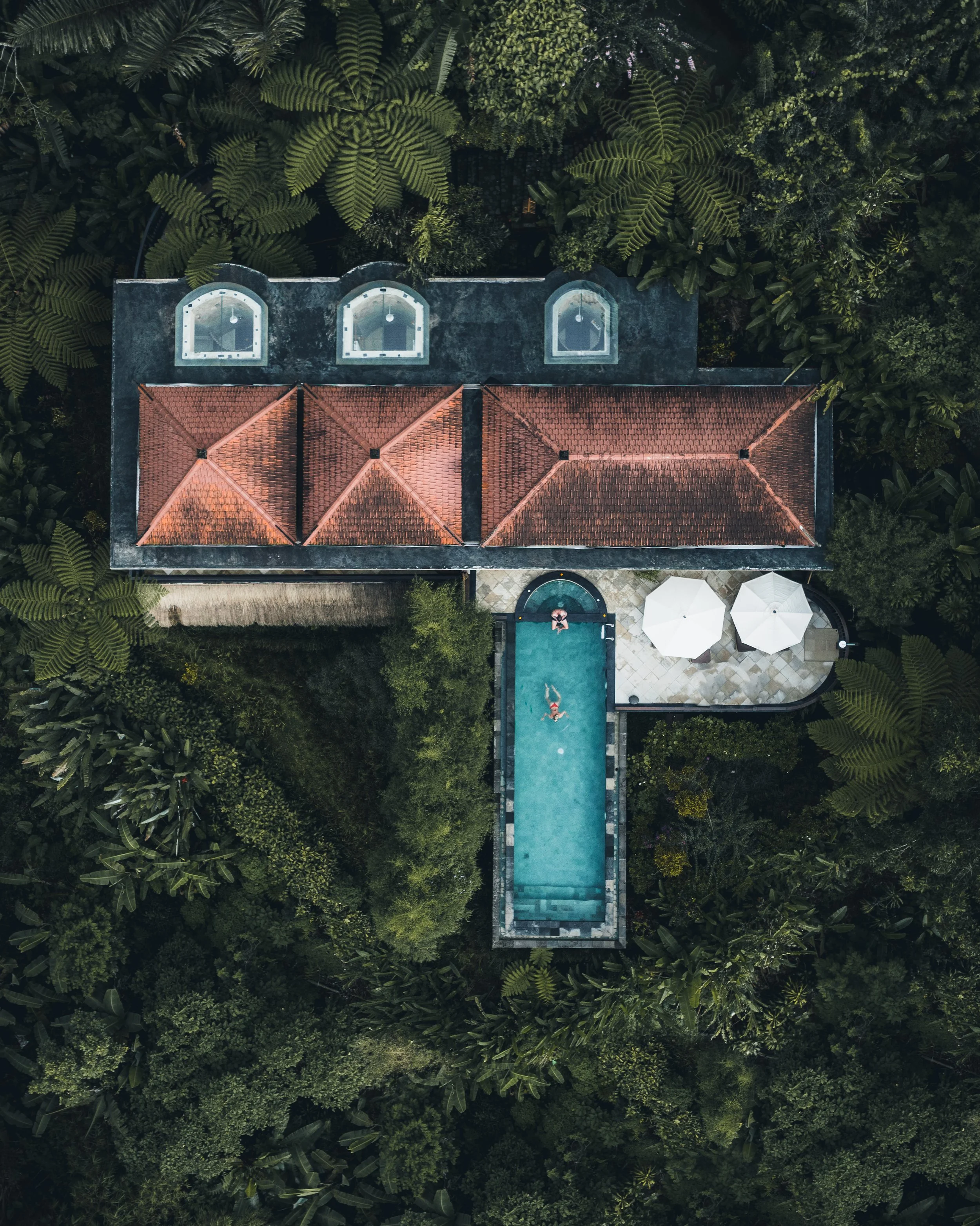Drone (4).jpg