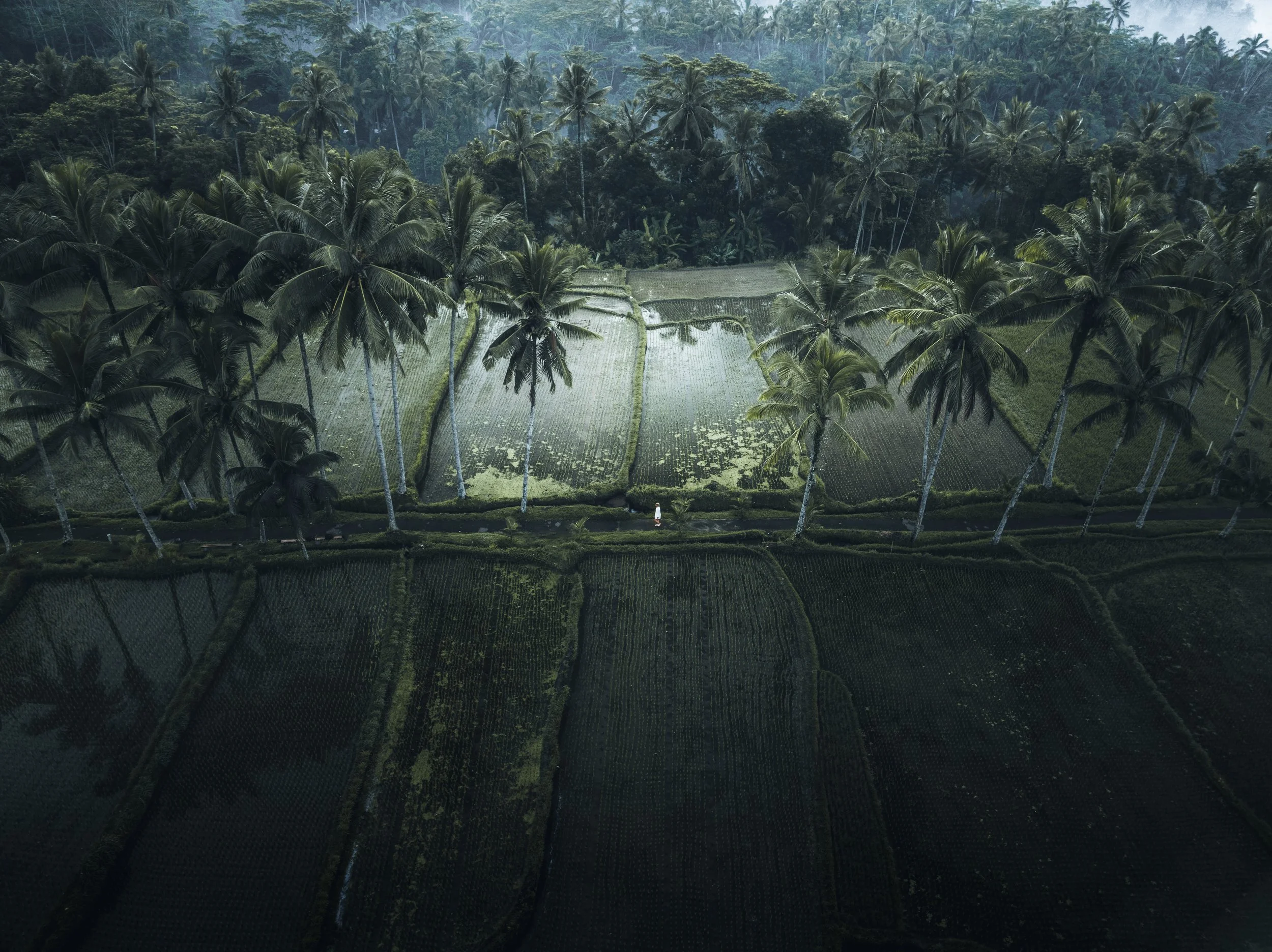 DJI_0239.jpg