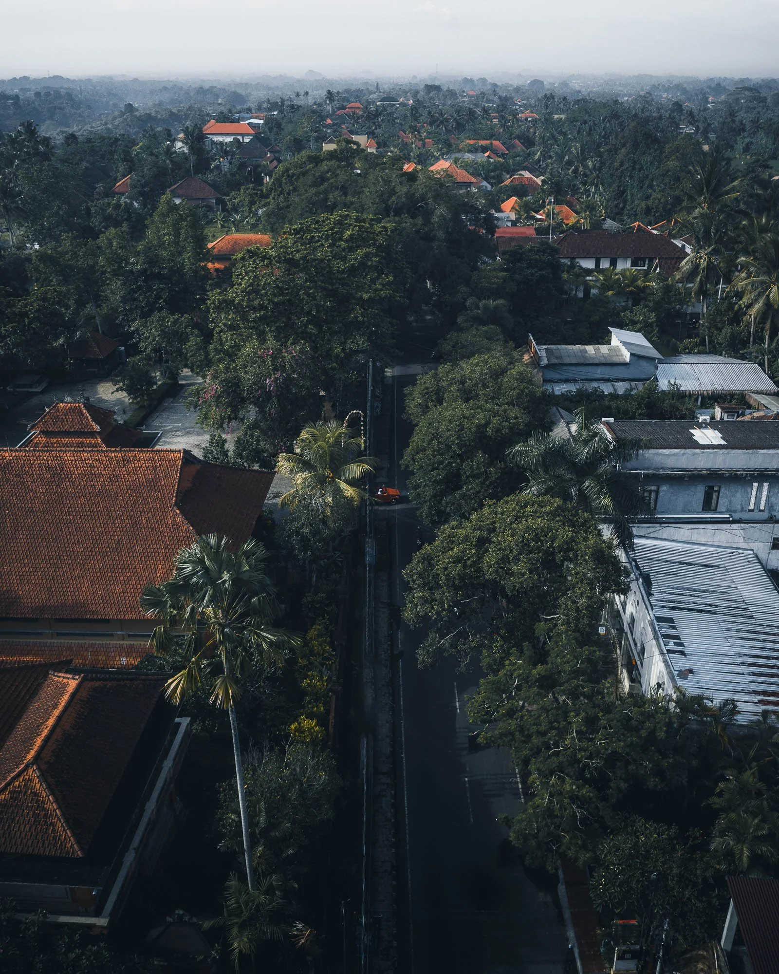 Drone Vintage Tour (1).jpg