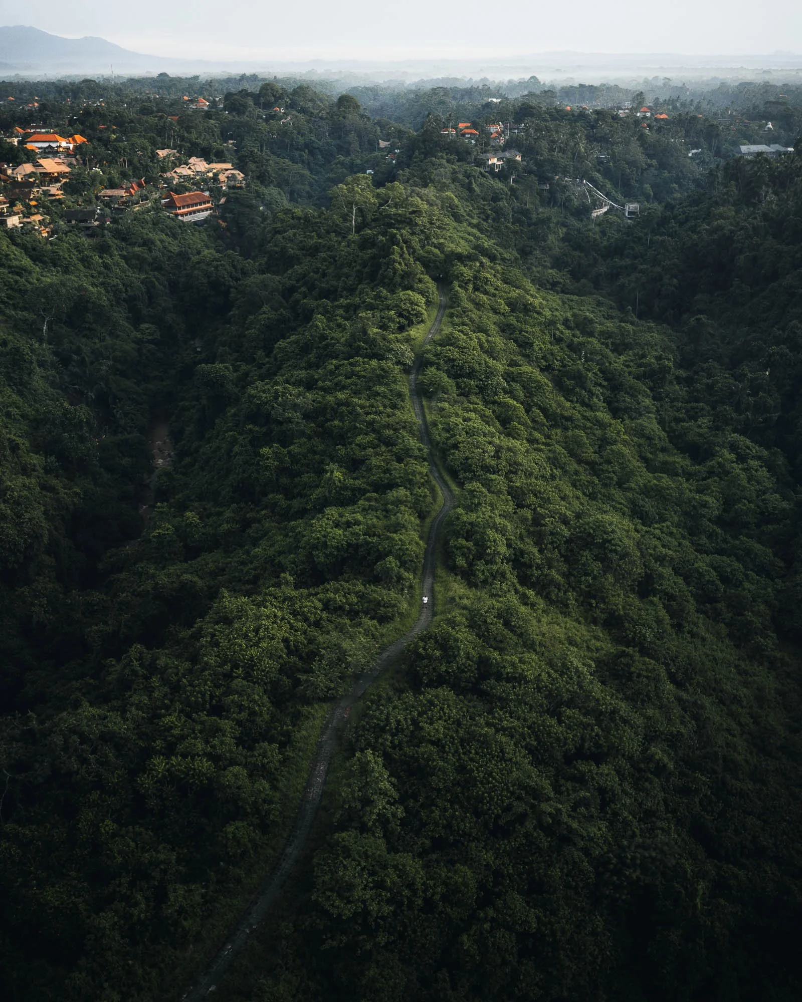 DJI_0300.jpg