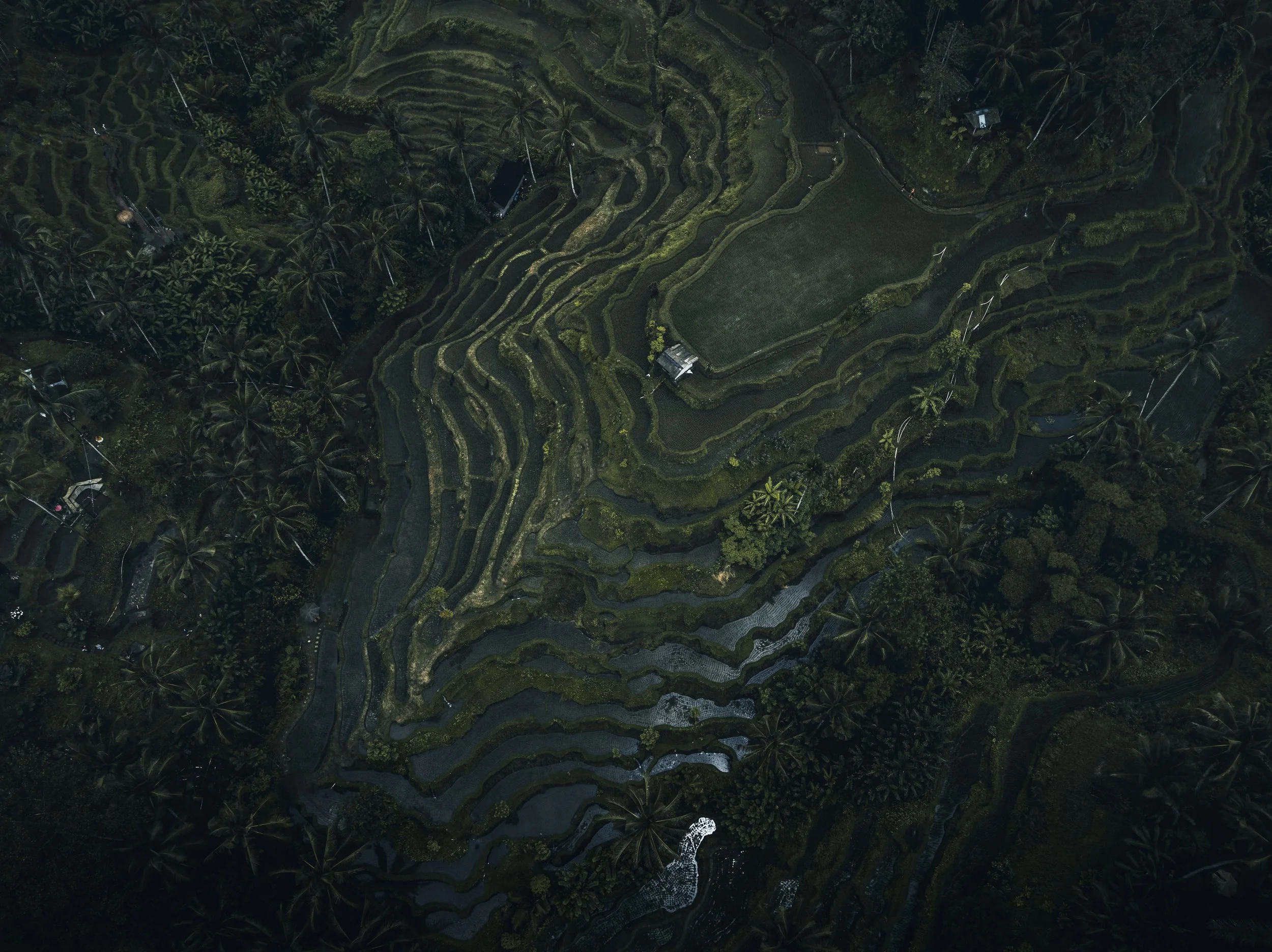DJI_0518.jpg