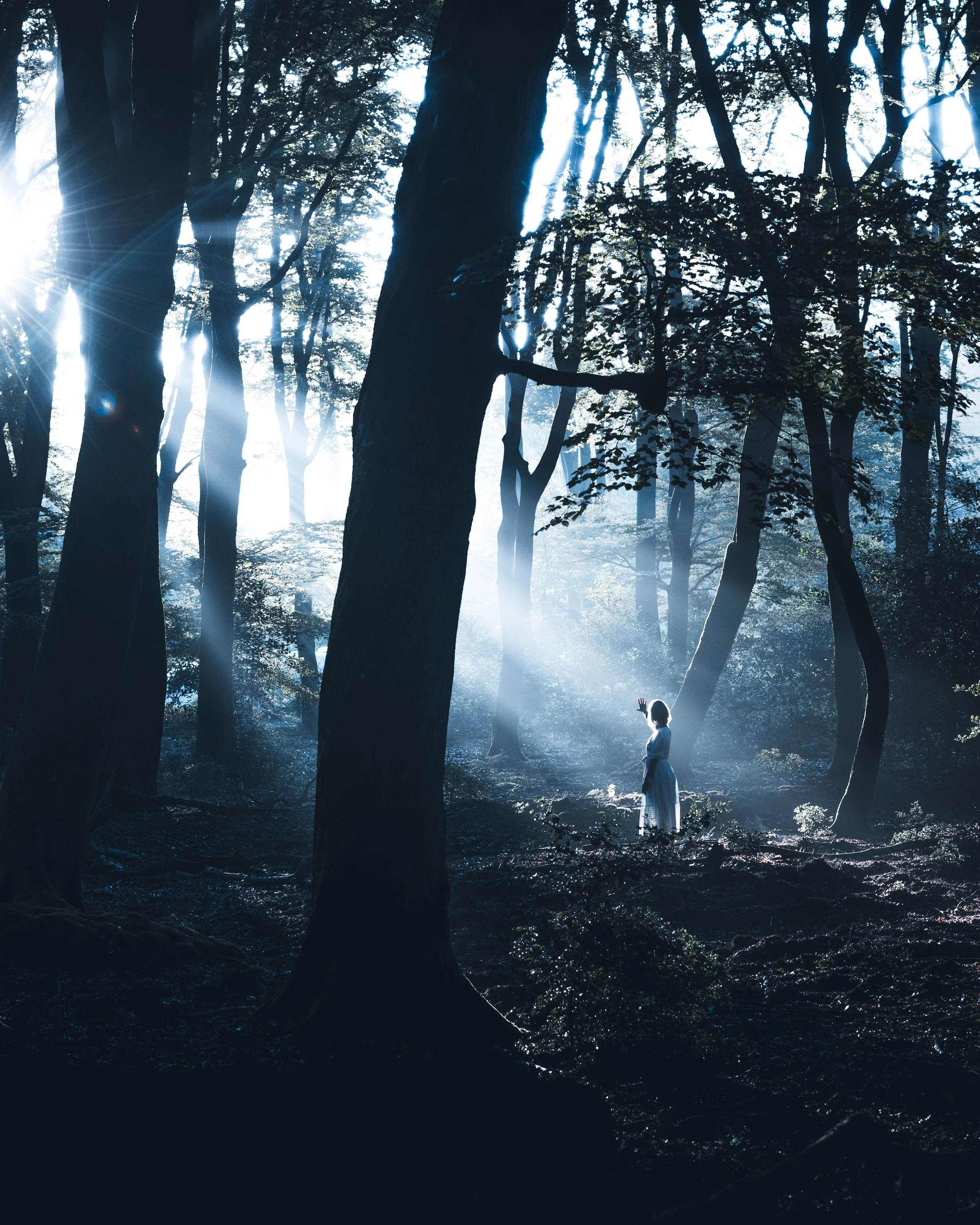 Sunlight filters through a dense forest, illuminating a young girl in a flowing dress who is reaching up towards the trees.