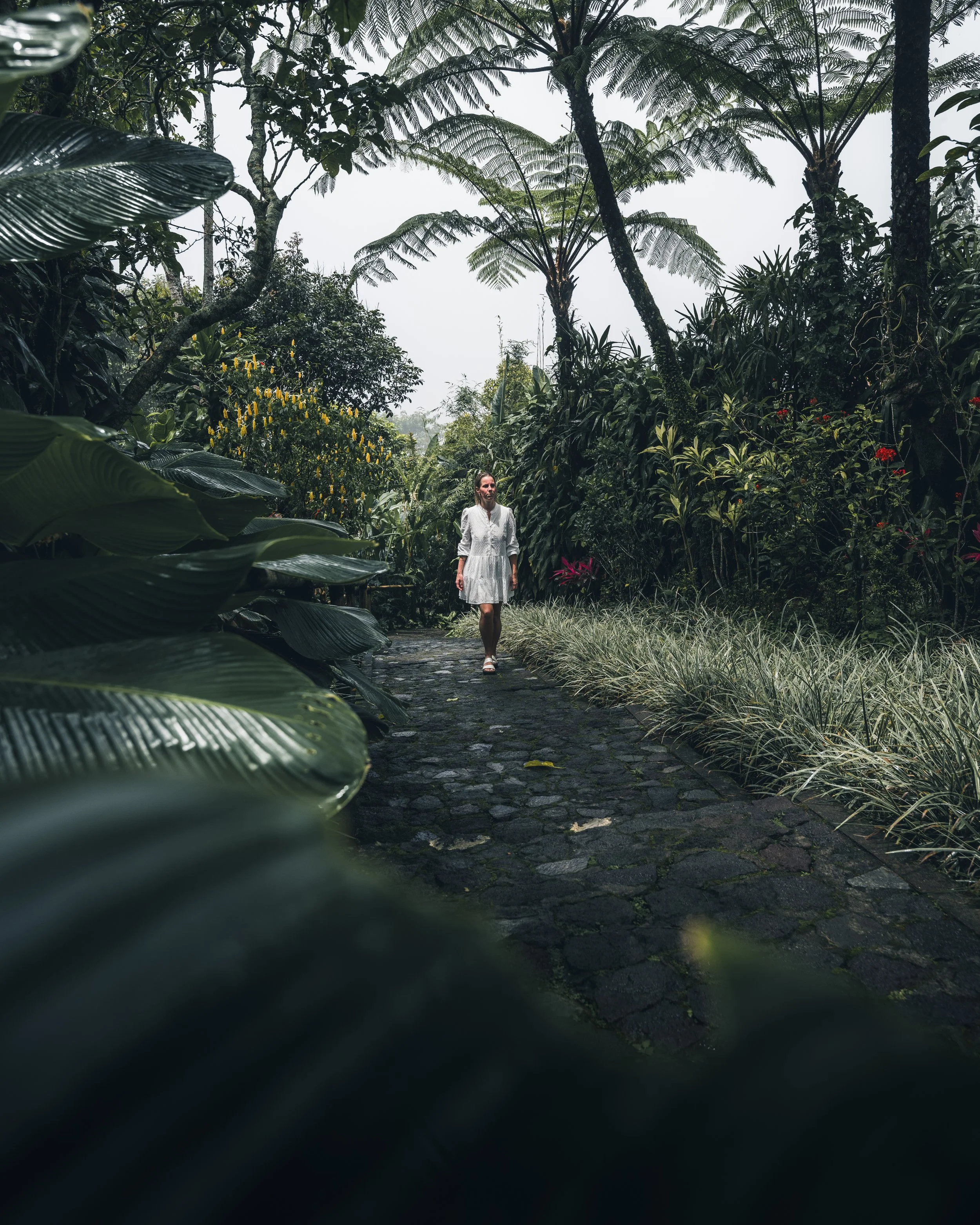 Munduk Moding Plantation (18).jpg
