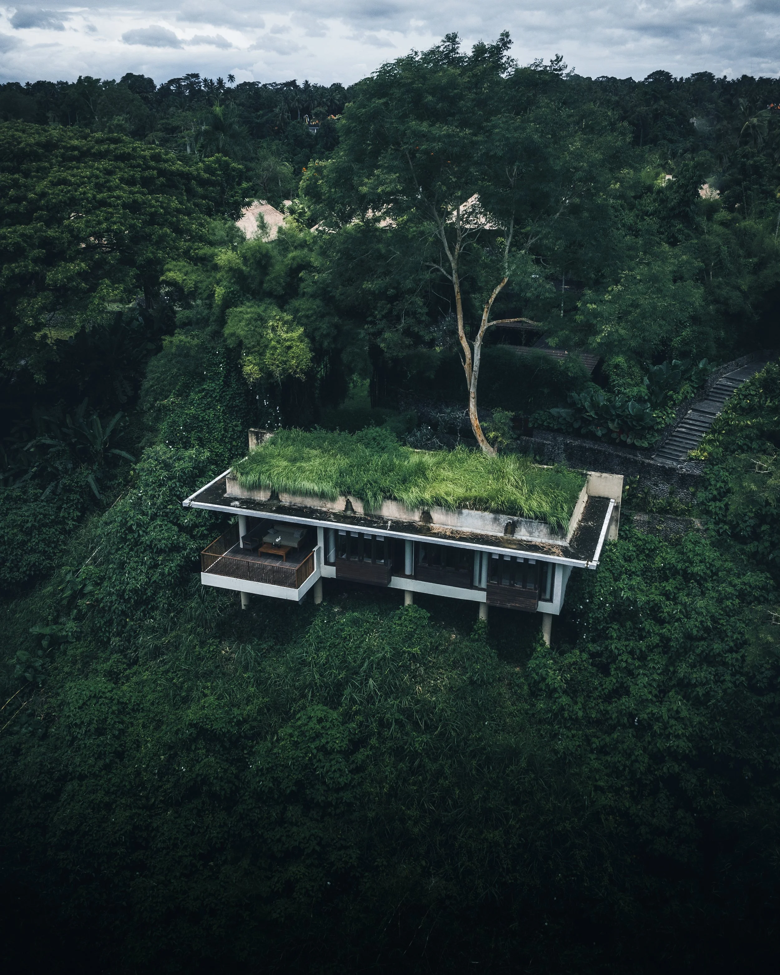 Drone (2).jpg