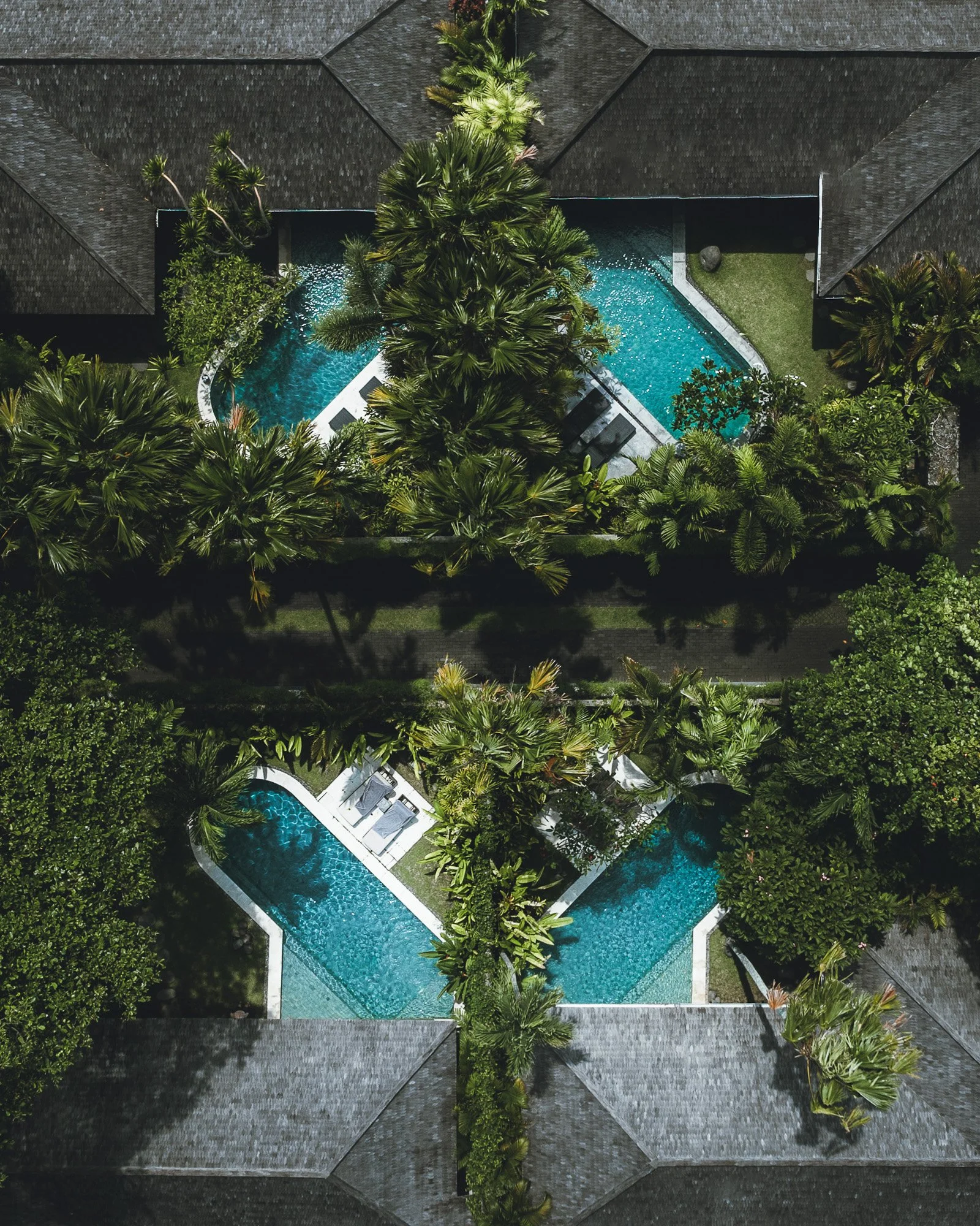 Drone (7).jpg