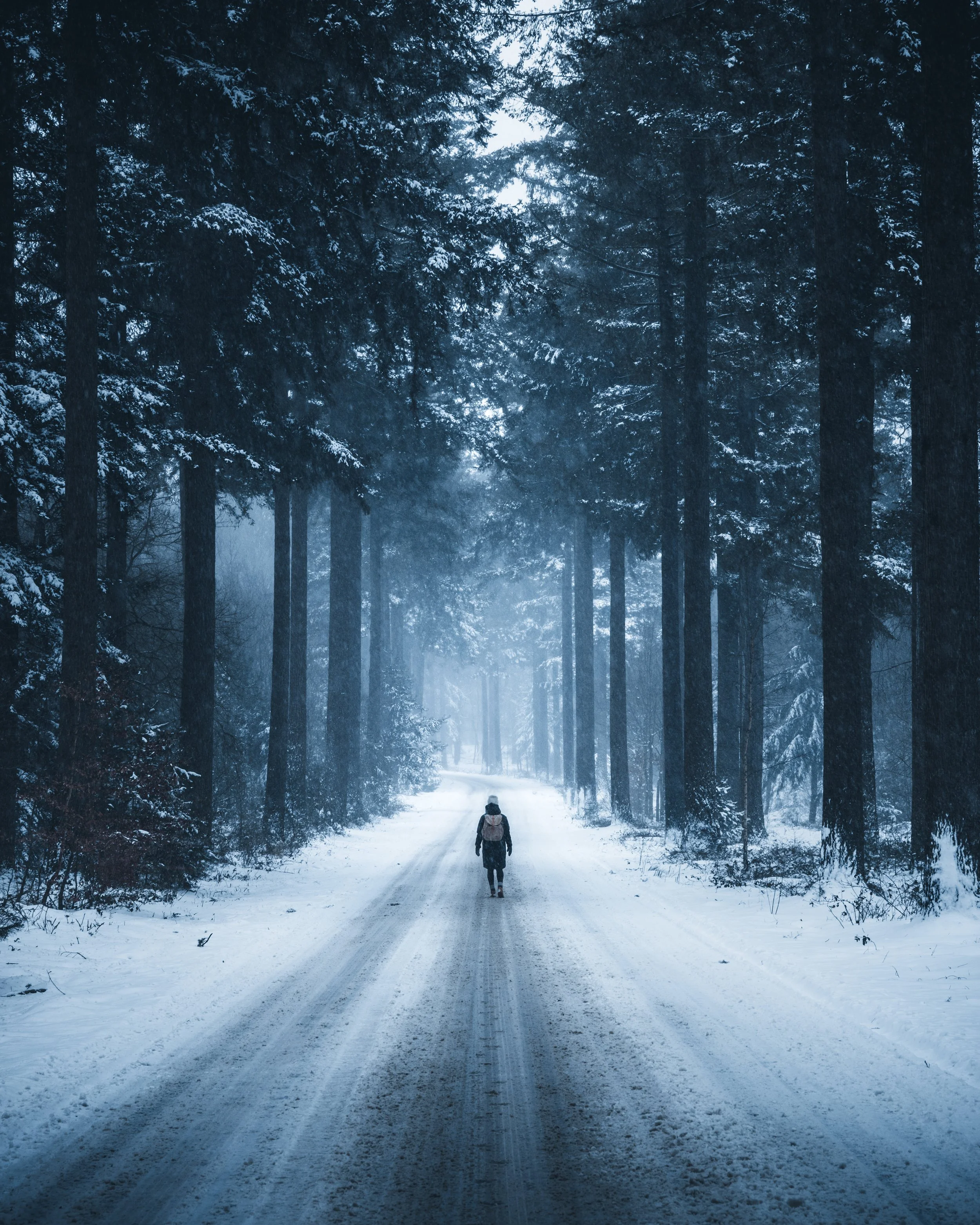 A person walking alone on a snow-covered forest road surrounded by tall pine trees on a foggy winter day.