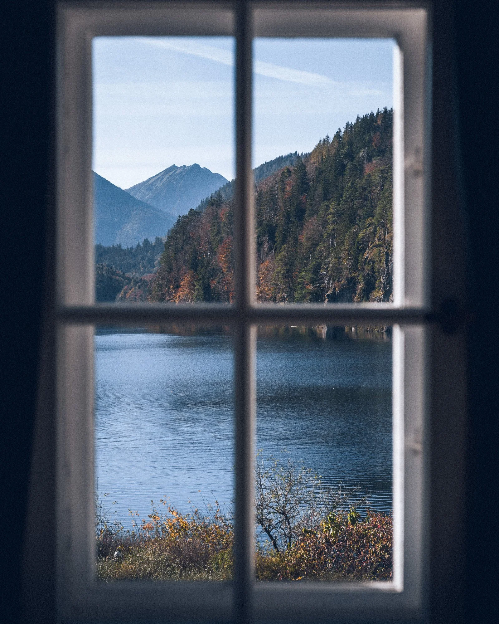 Views (6).jpg