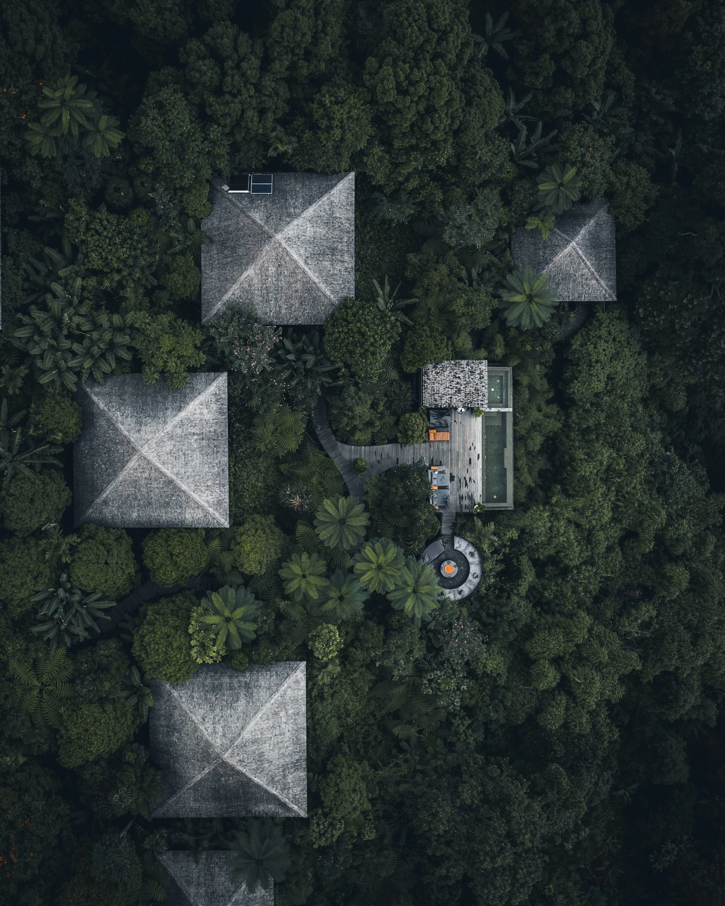 Drone (2).jpg