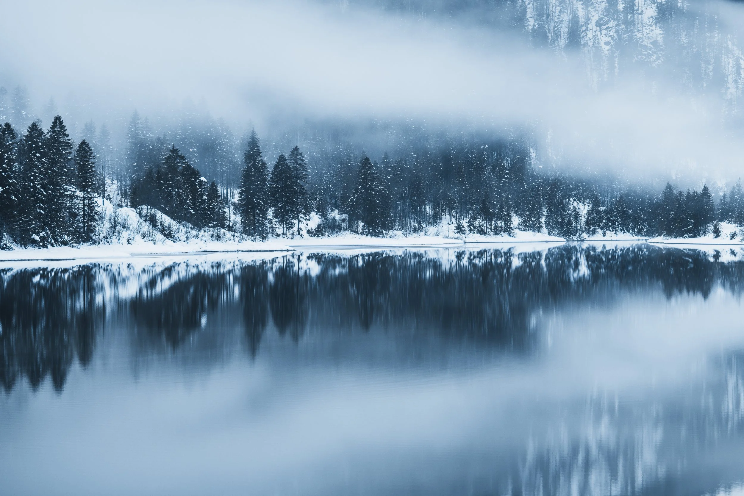 A snowy forest reflected in a calm body of water with fog covering the trees