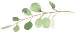bloom_icon.png