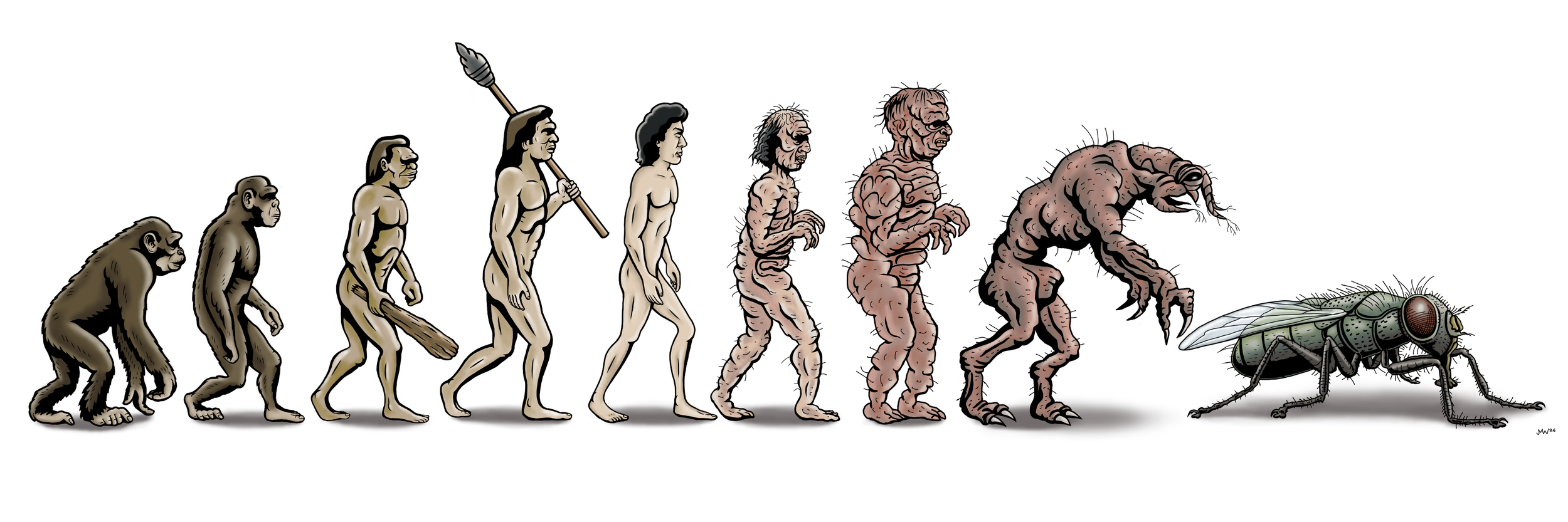 Evolution