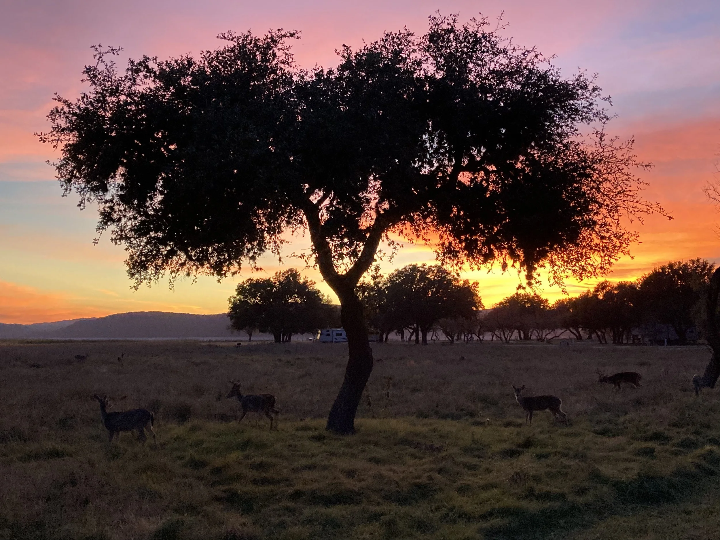Lakehills/San Antonio, TX