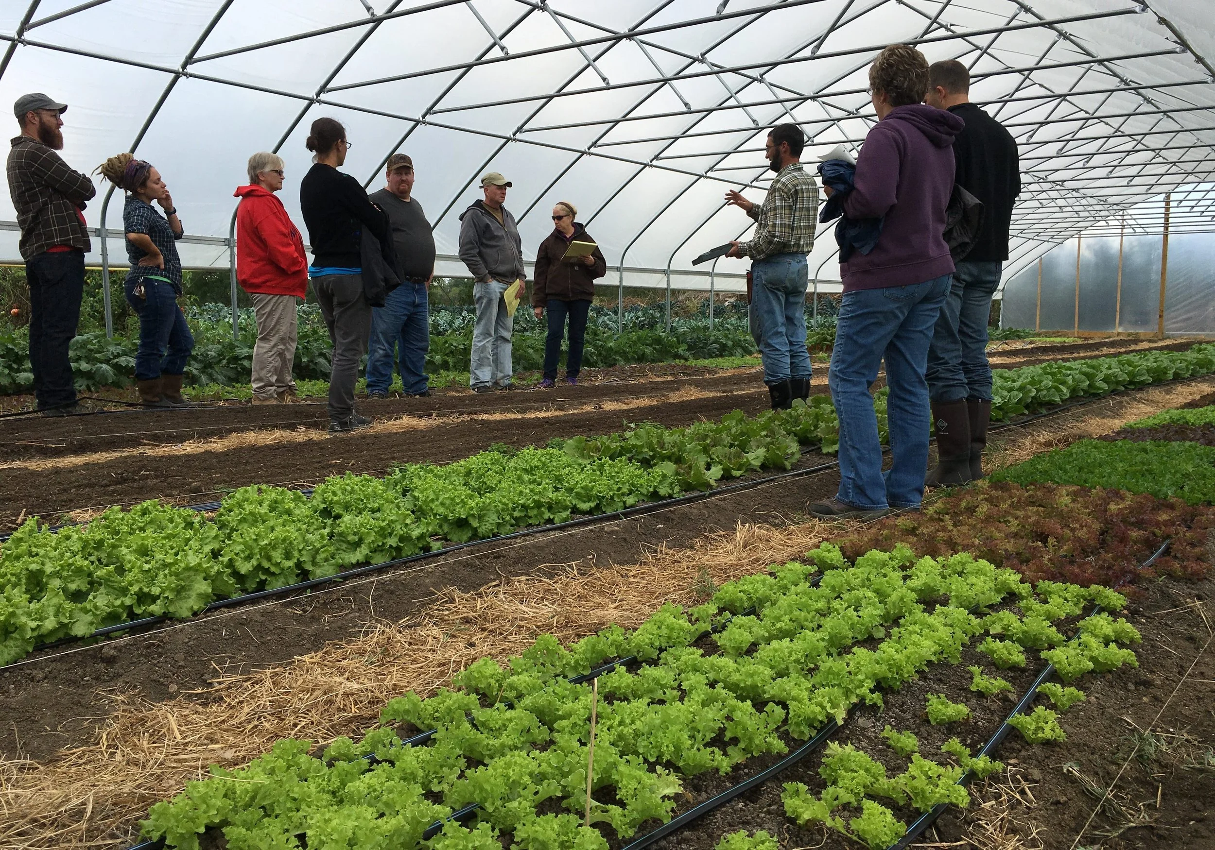 Region Roots - Wholesale Local Farm & Food Hub for Northwest Indiana