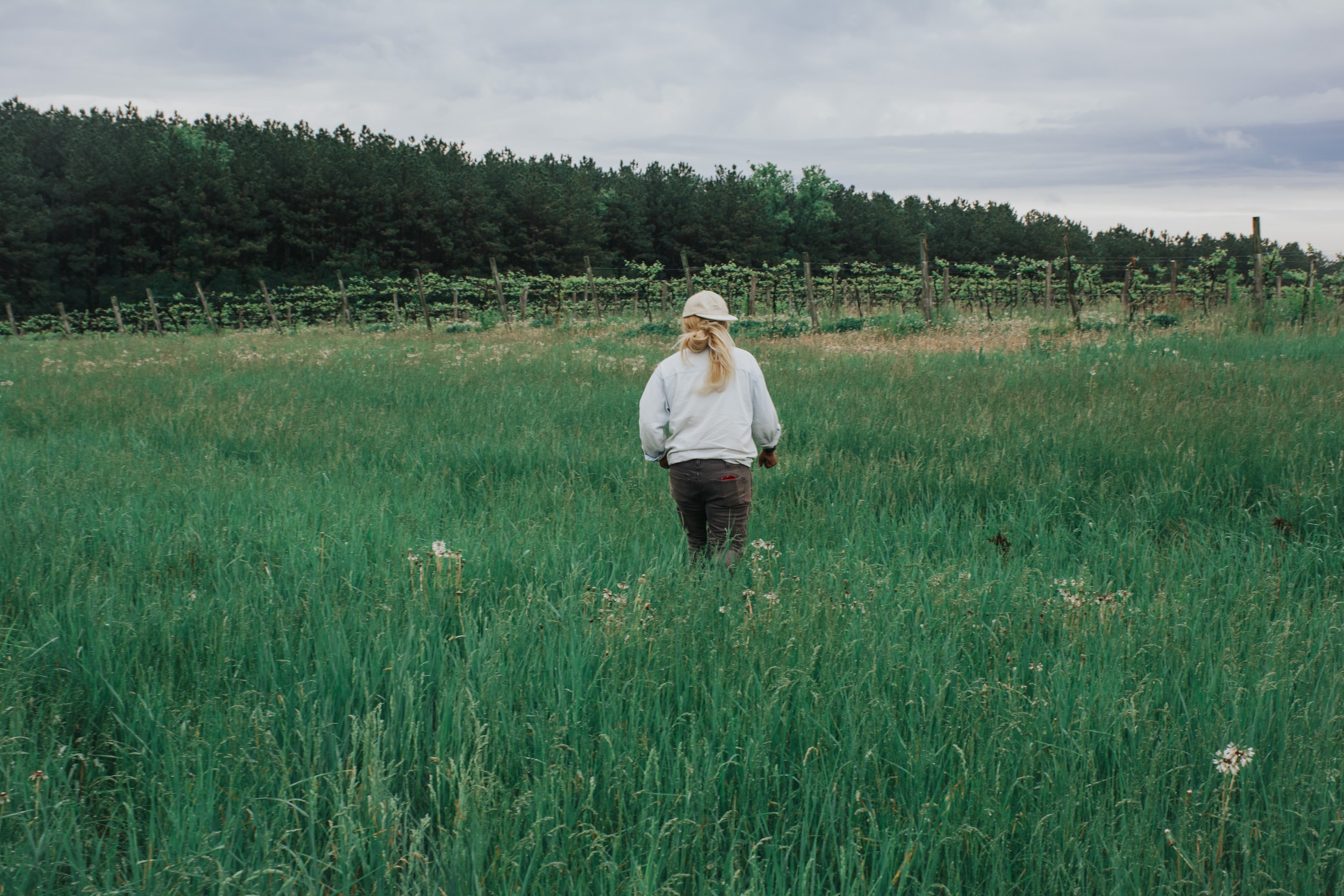 ZAFA Wines Wine Is Farming Krista Scruggs