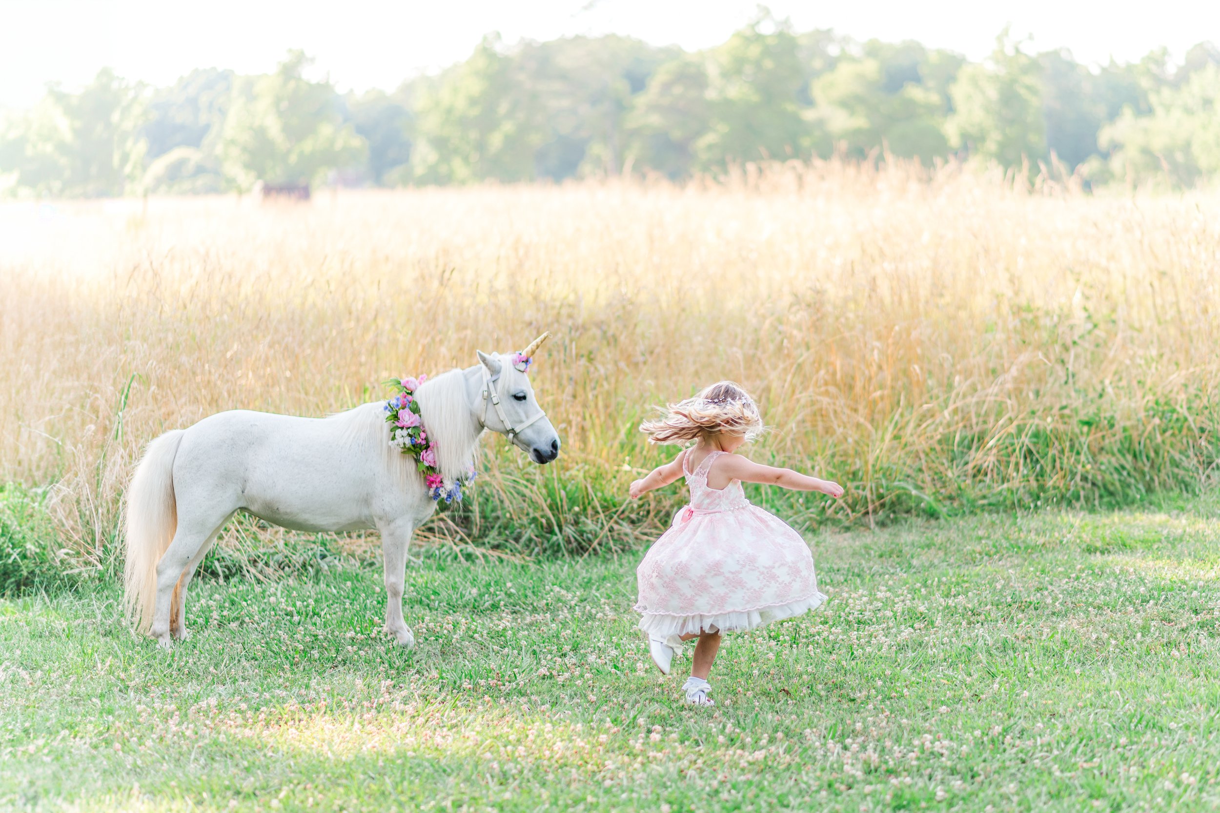 Unicorn Session | Prospect Farms 