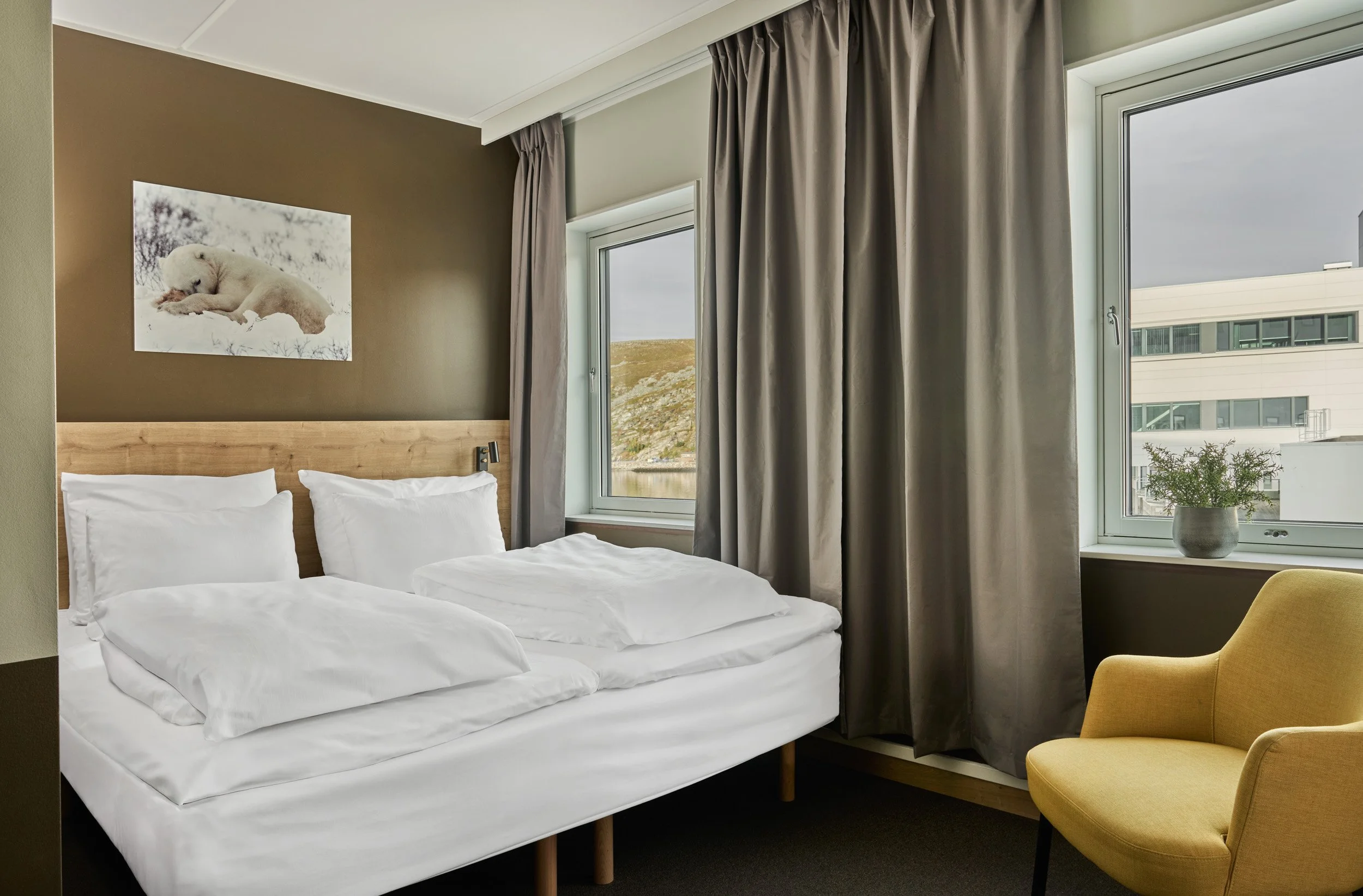 A hotel room with a bed, a yellow armchair, and two windows with gray curtains. There is a plant on the windowsill and a bear picture on the wall.