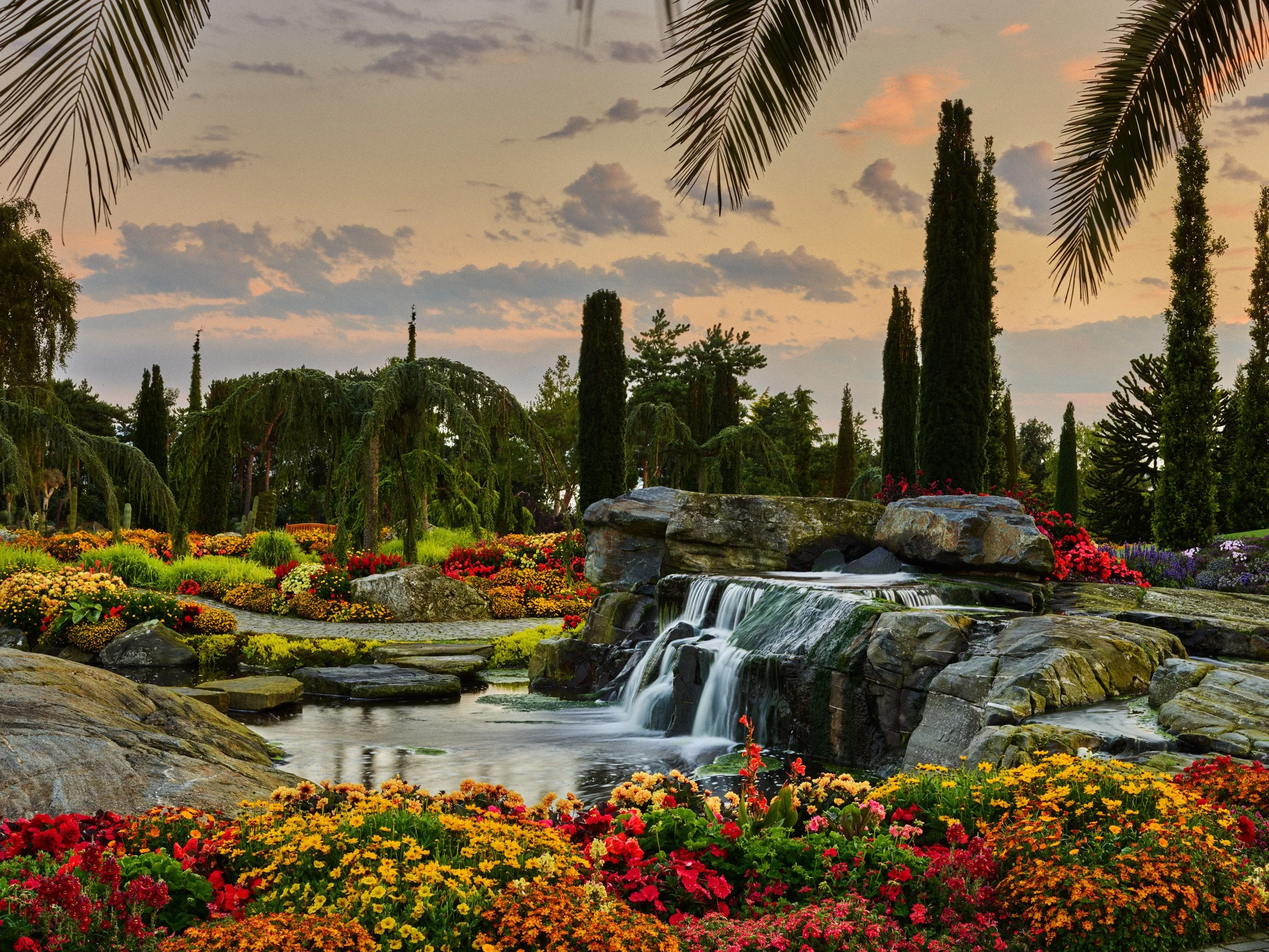 F&F Juli 25 P1 358.jpg