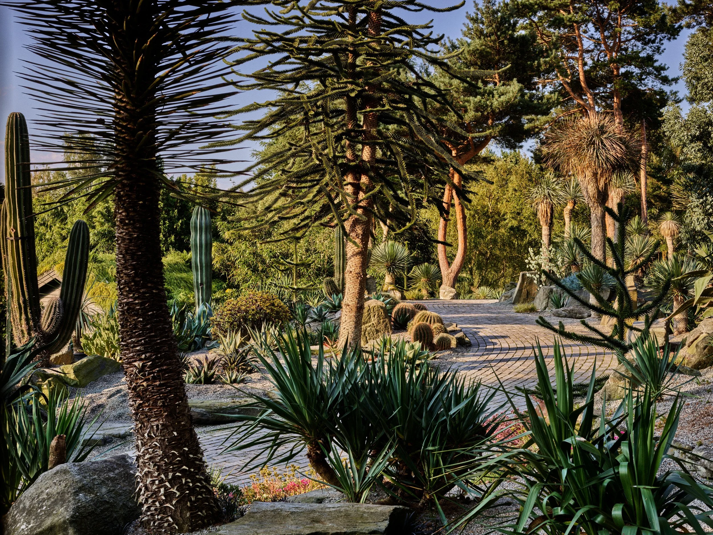 F&F Juli 25 P1 419.jpg