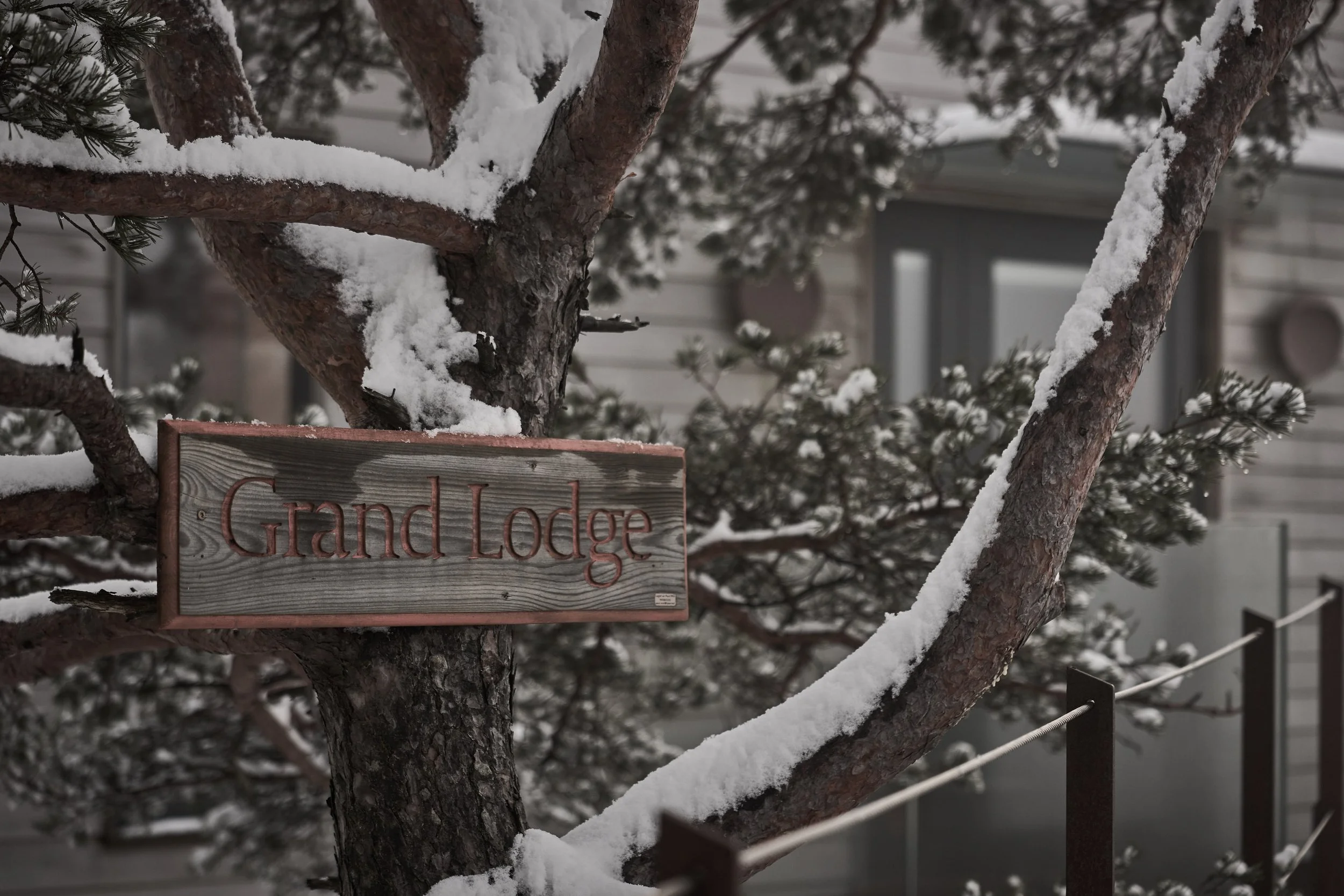 The Bolder Feb 26 118.jpg