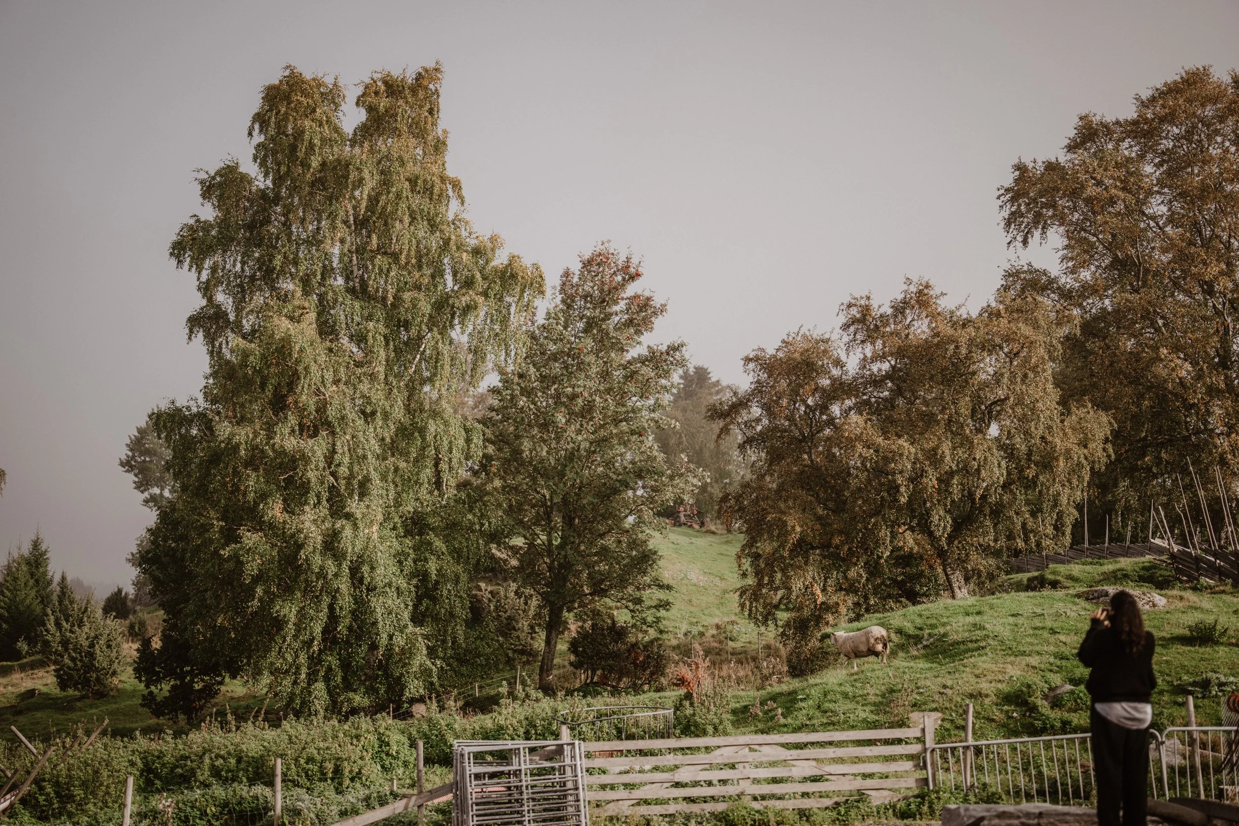 Hotel Jegtvolden - HEIMR Collection