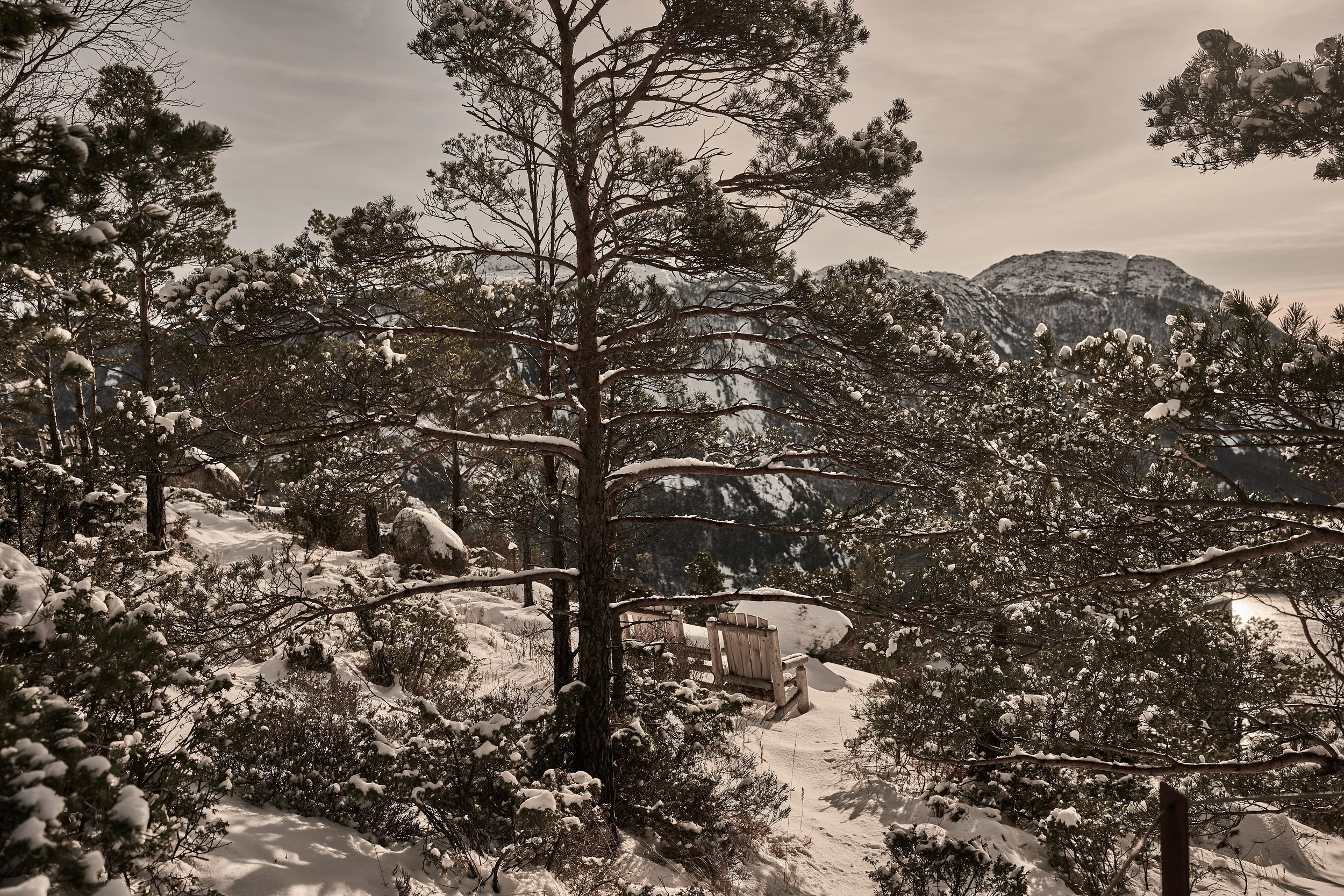 The Bolder Feb 26 145.jpg