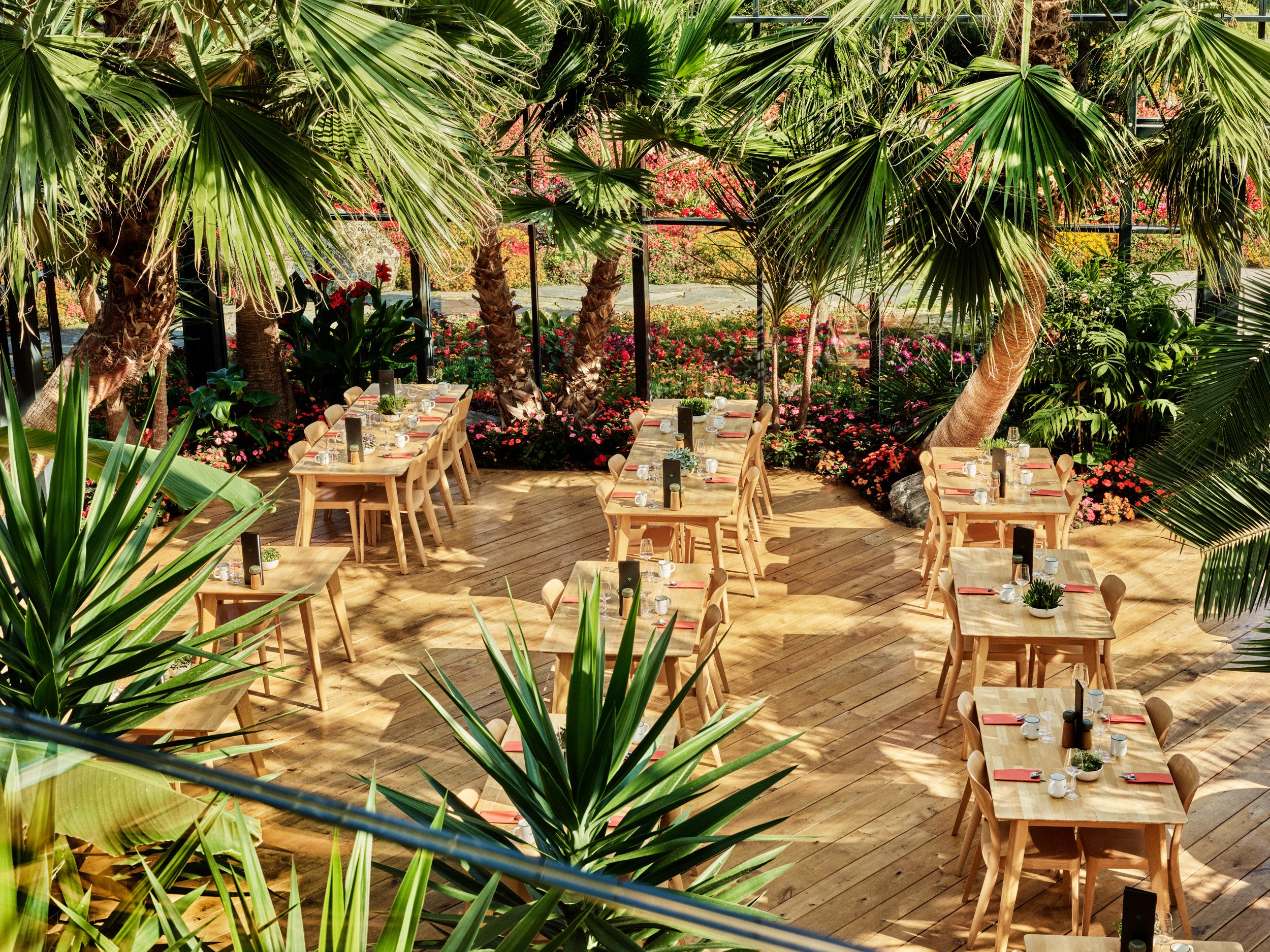 F&F Juli 25 P1 456.jpg