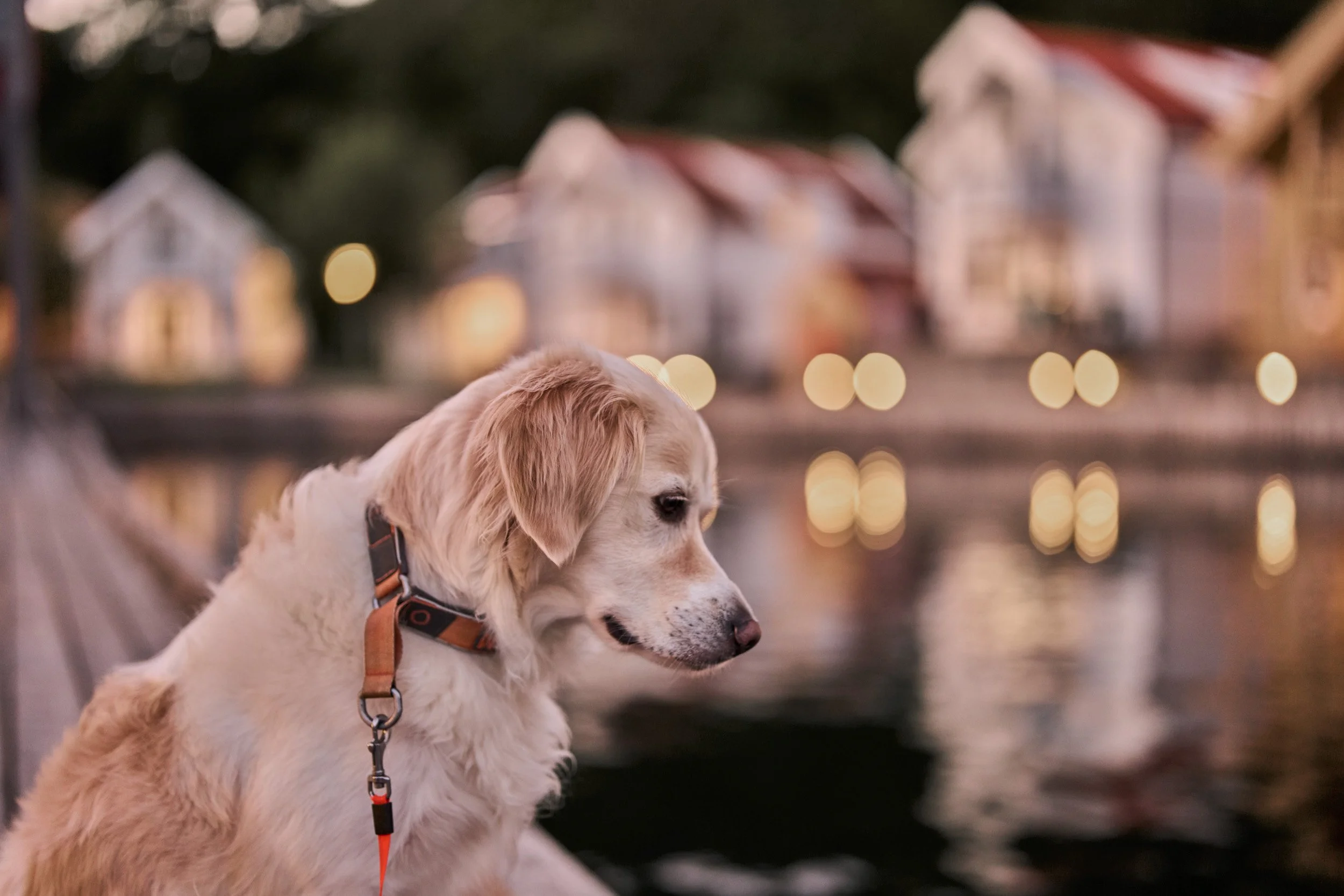 Farsund Resort - HEIMR Collection