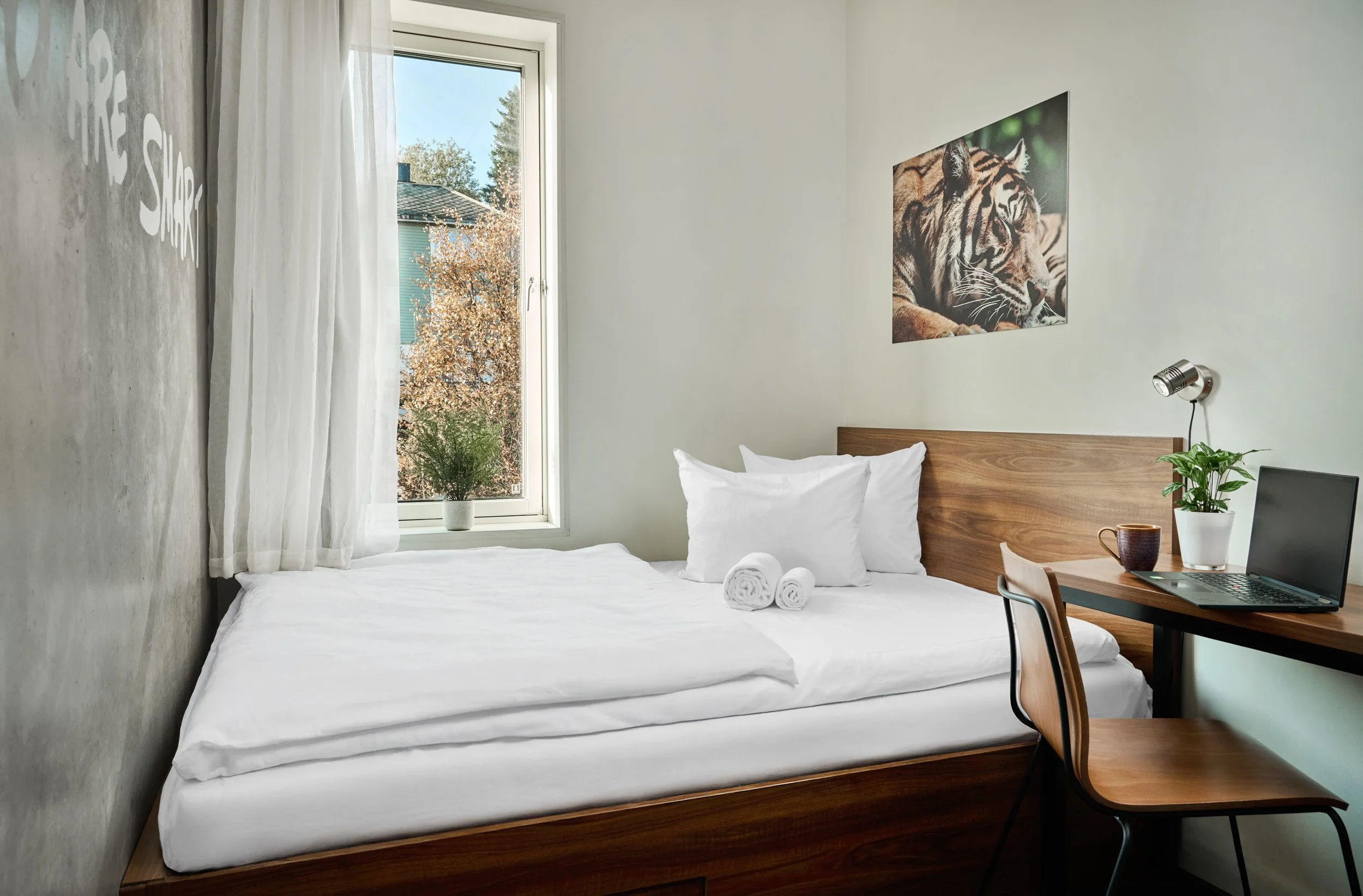 Bright bedroom with a bed covered in white linens, two rolled towels, and pillows. A wooden headboard, a window with white curtains showing trees outside, a plant on the windowsill, a wall photo of a tiger, a desk with a laptop, a coffee mug, a potte