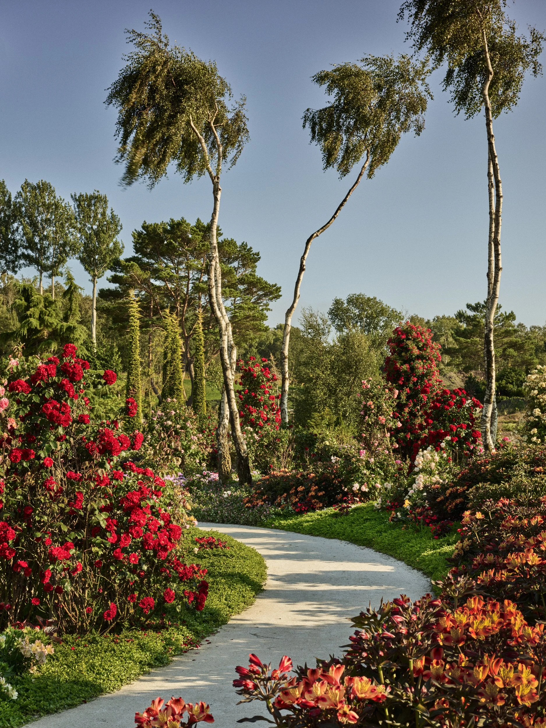 F&F Juli 25 P1 530.jpg