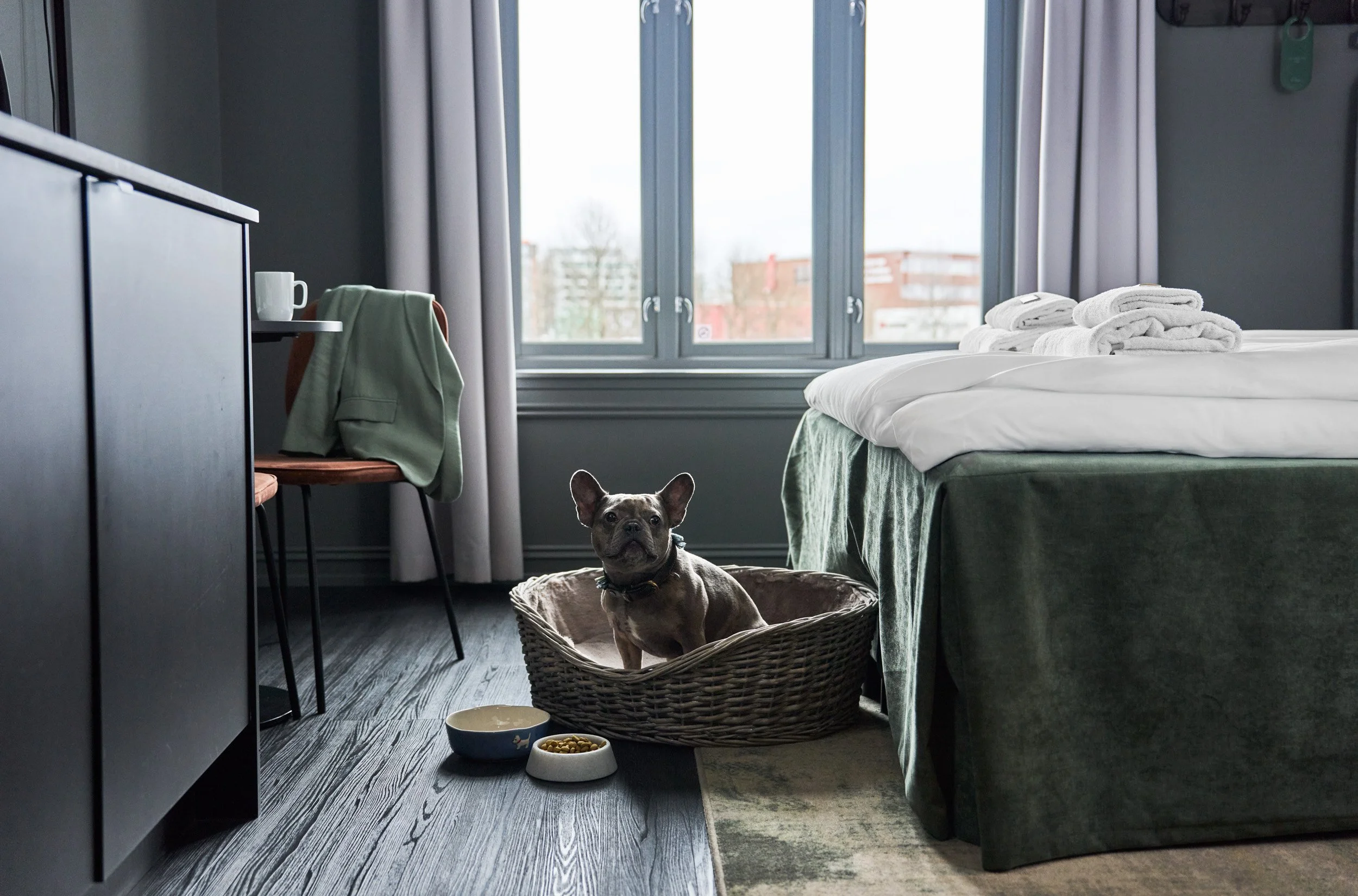 Hotel Filip, Oslo - HEIMR Collection. Here we welcome dogs.