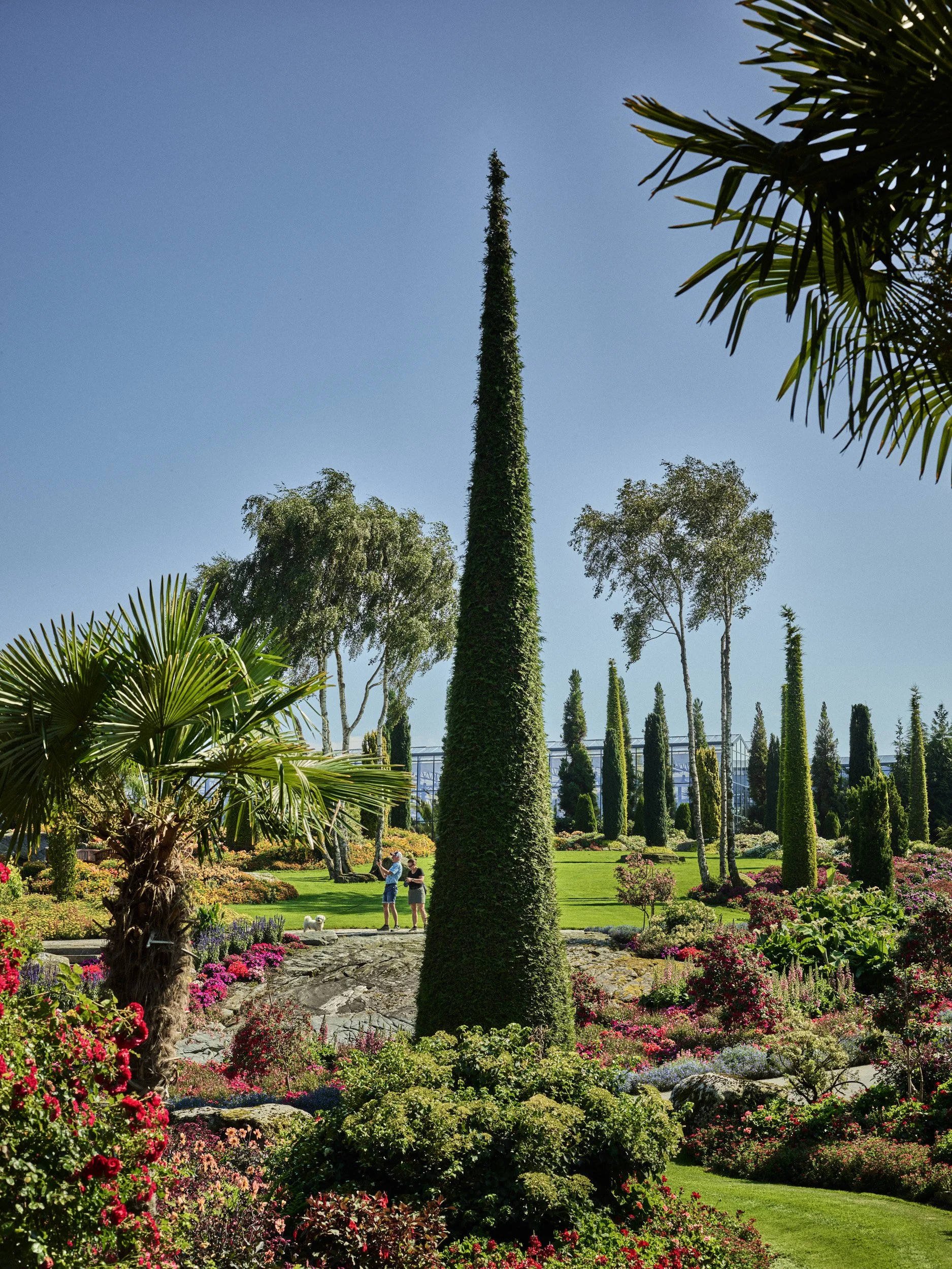 F&F Juli 25 P1 503.jpg