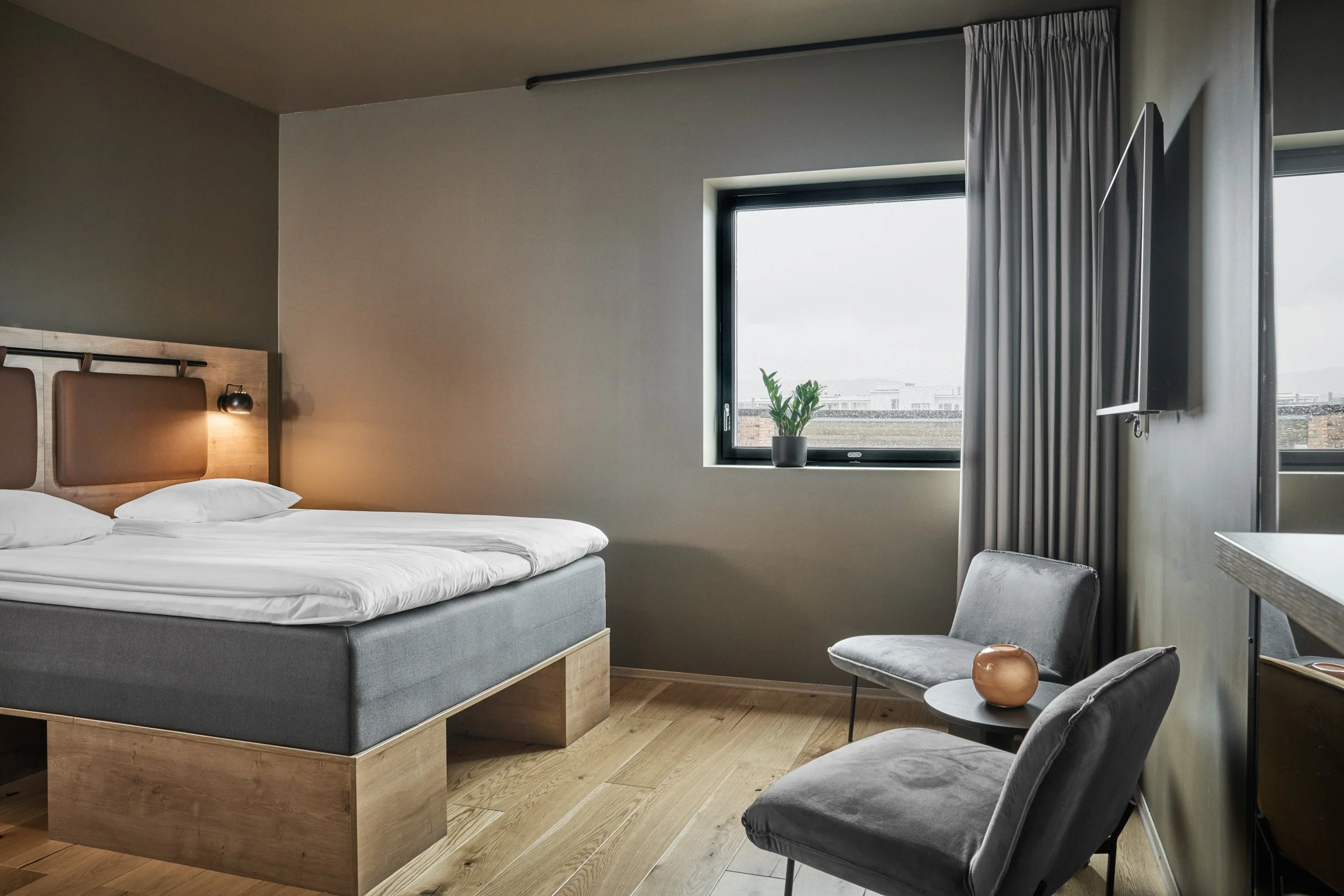 Modern hotel room with a bed, two gray chairs, a window with a plant, and a flat-screen TV.
