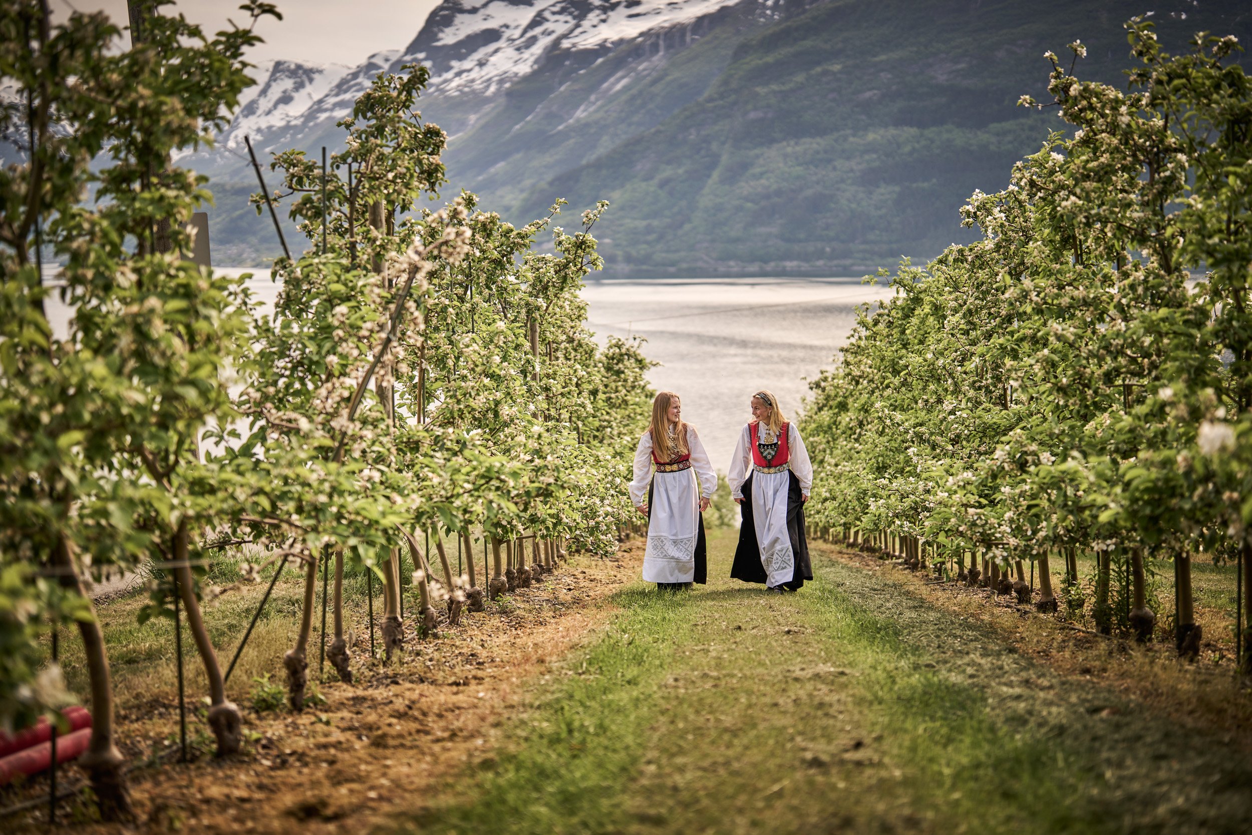 Ullensvang_Mai24_0762.jpg