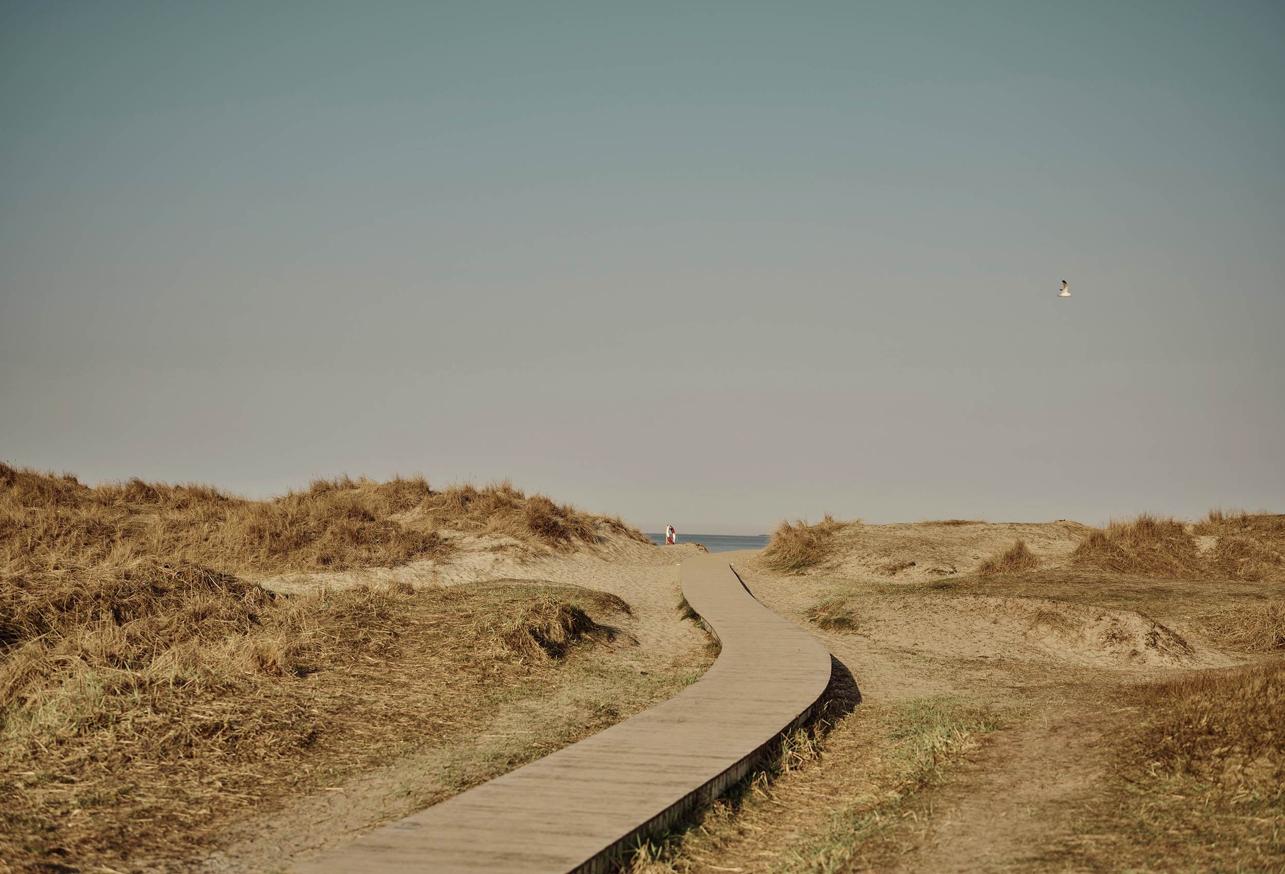 Sola_Strand_April21_157.jpg
