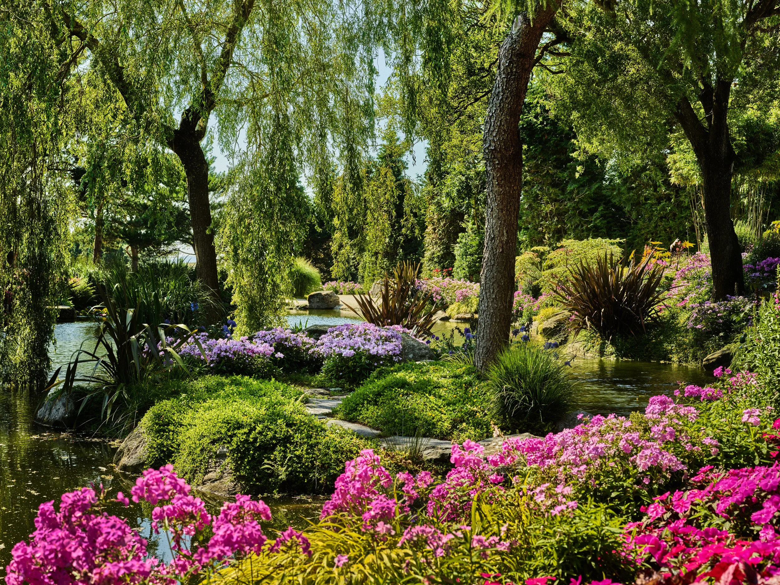 F&F Juli 25 P1 496.jpg