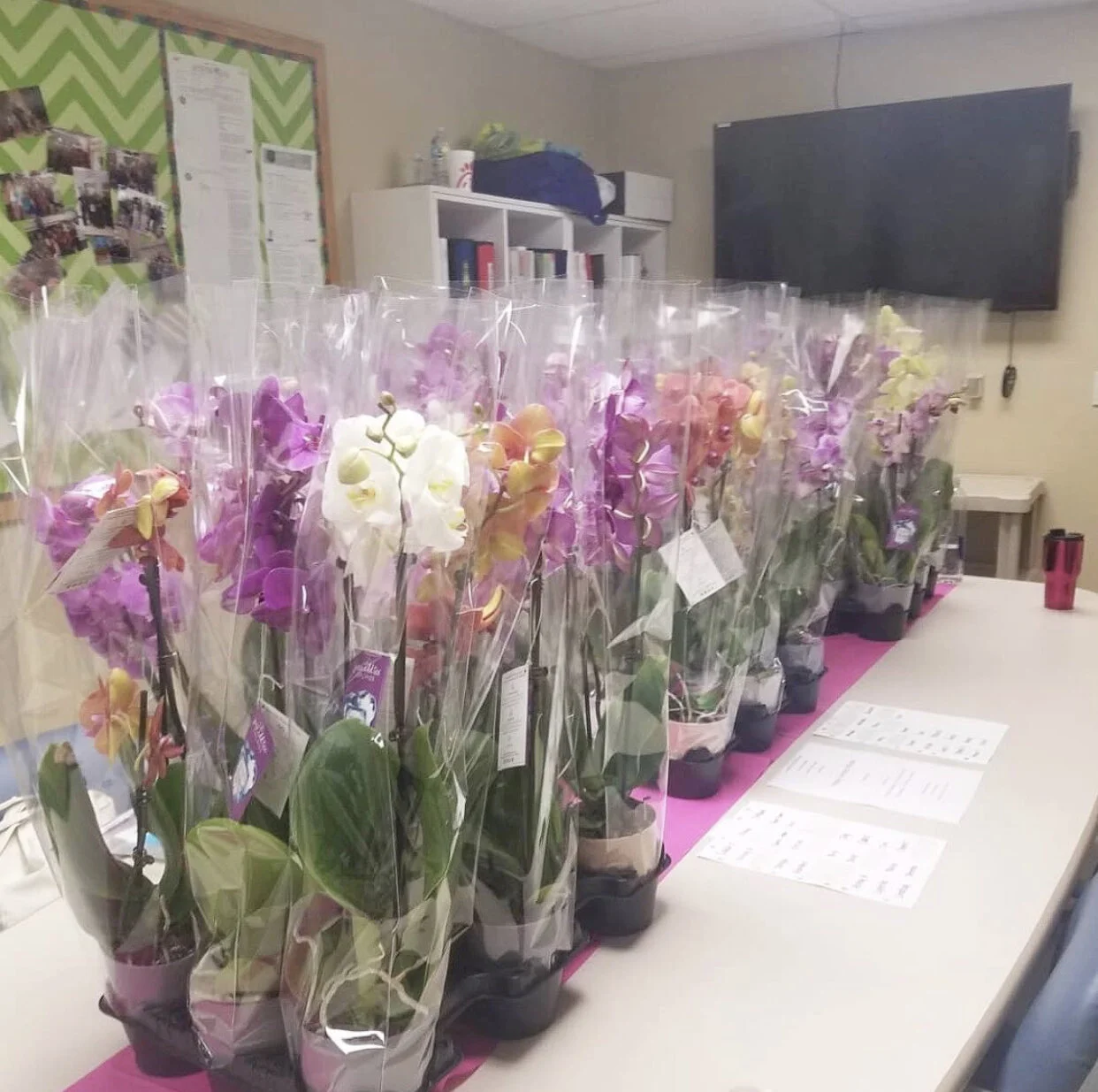 Bayfront Health St. Petersburg.jpeg