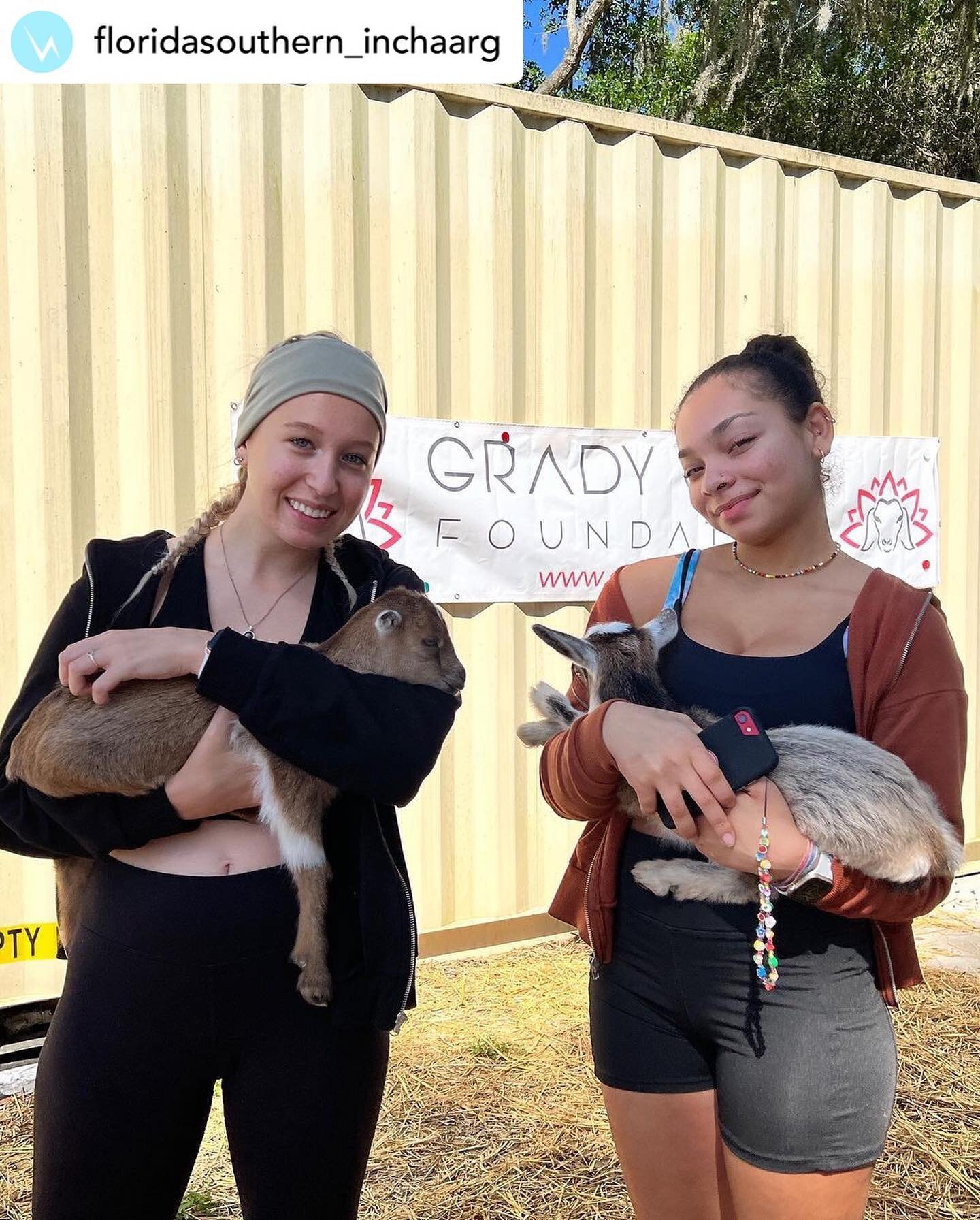 One of our private classes today #fscchaarg #goatyoga #privateclass