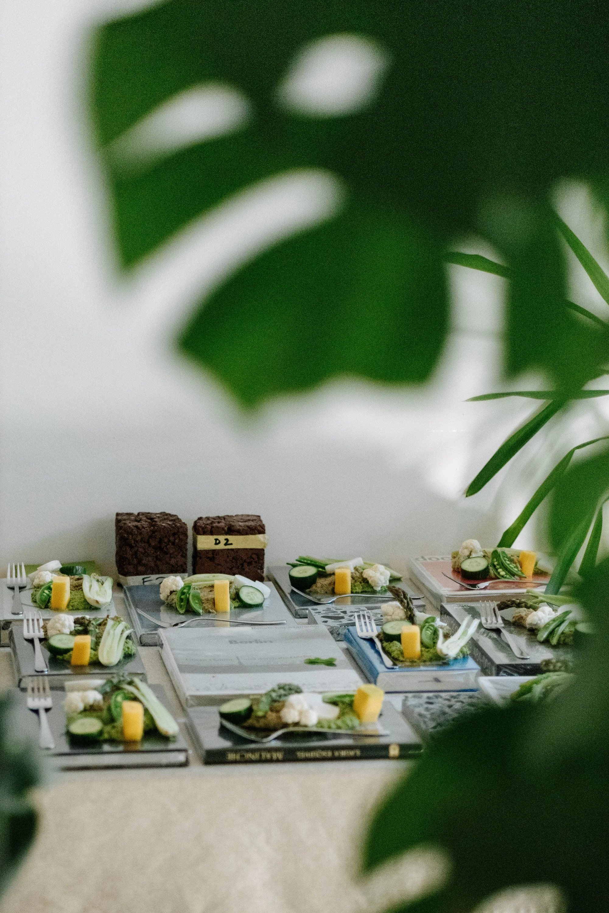 root to sky - 3000px-10.jpg