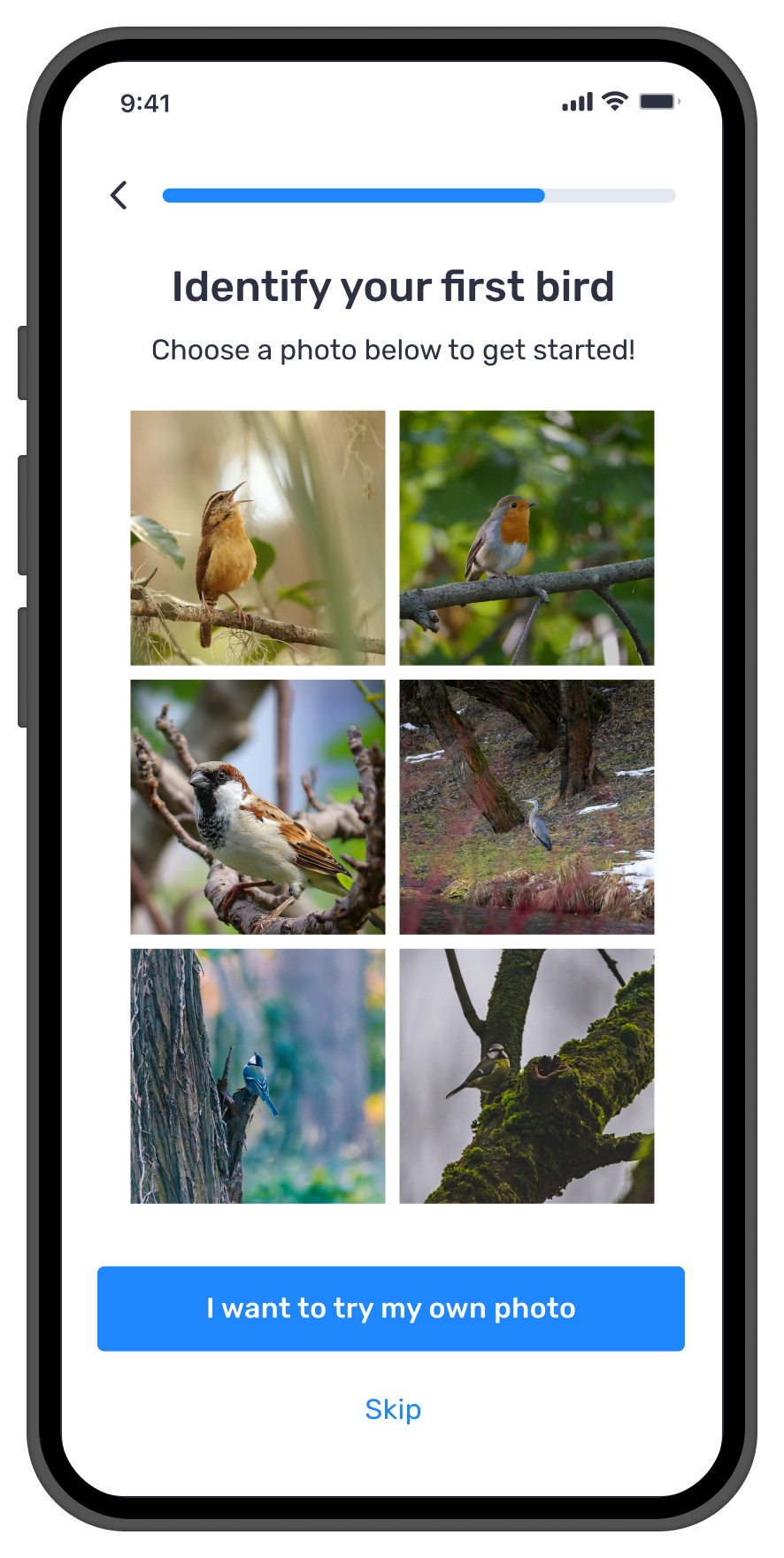 Step 2 onboarding Photo ID screen