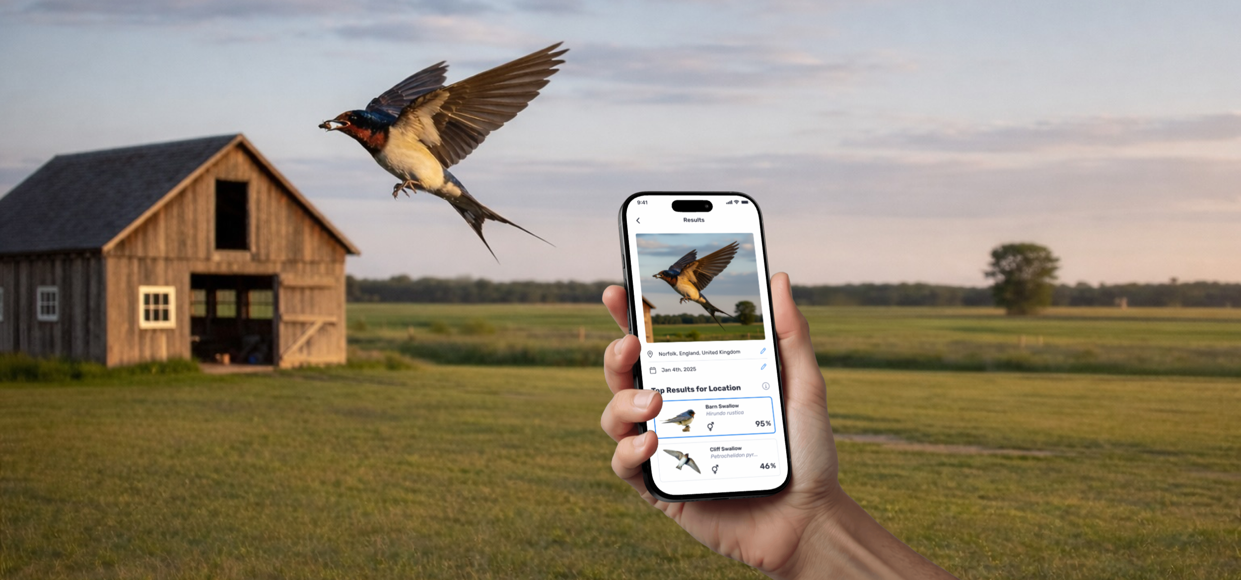 Birda Photo ID (AI Bird Identification)