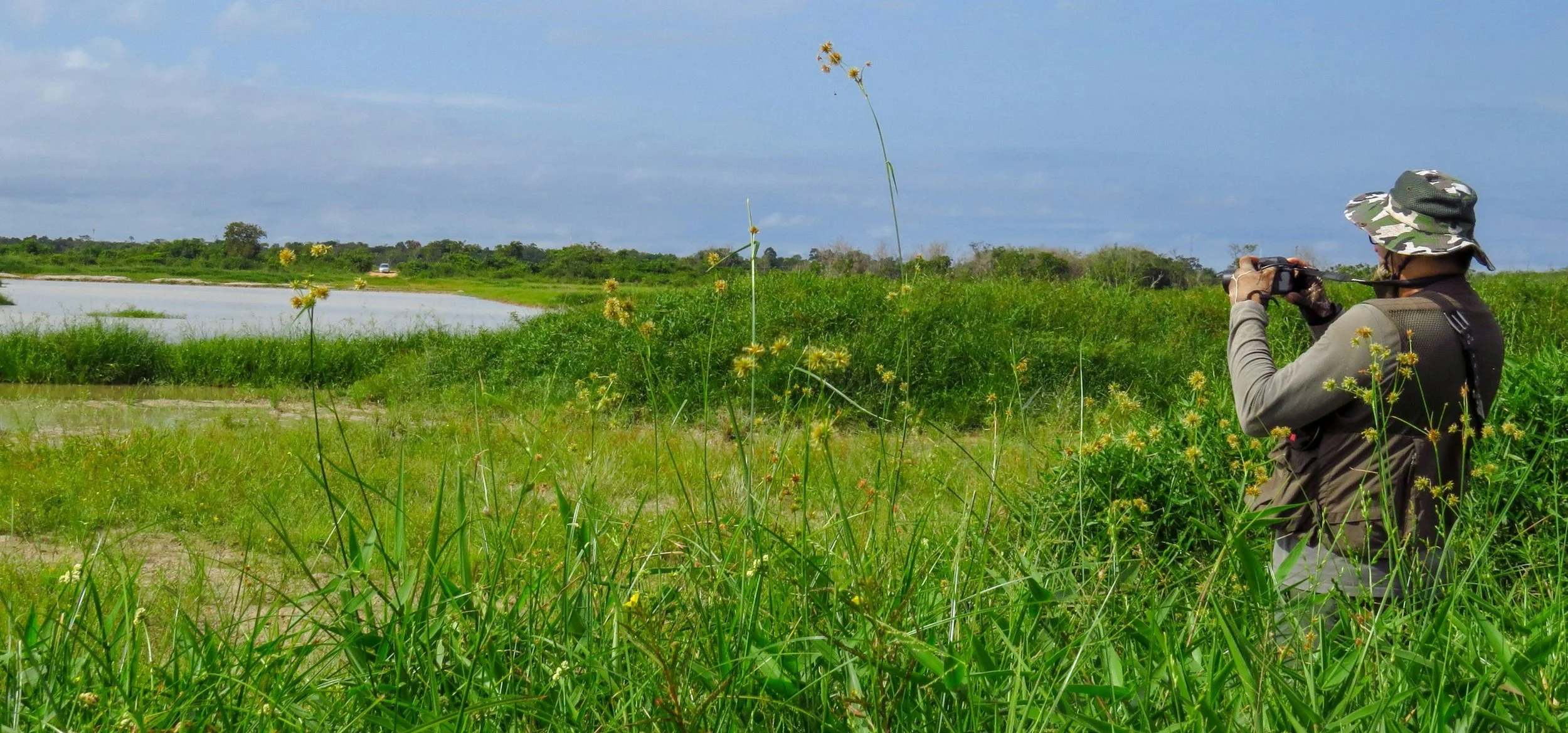 Birdwatcher in the field