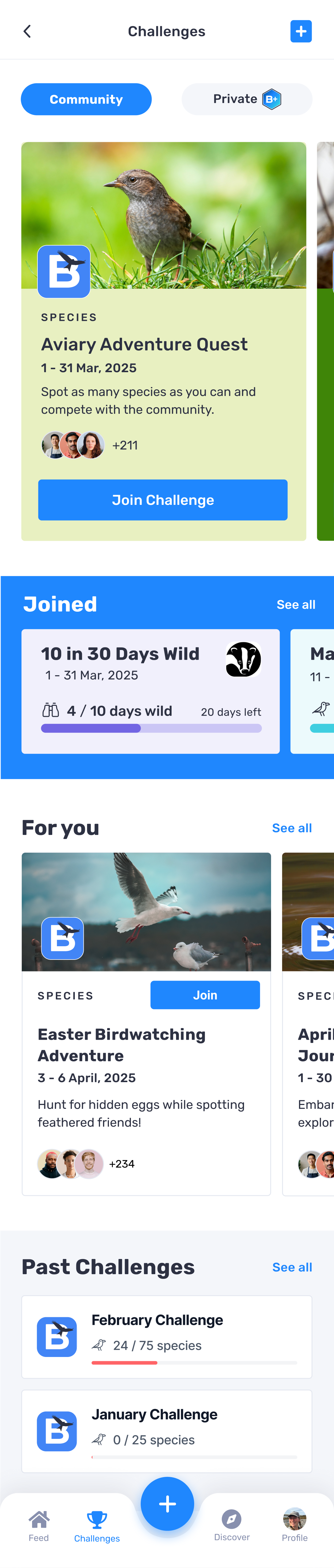 Scrollable Challenges screen