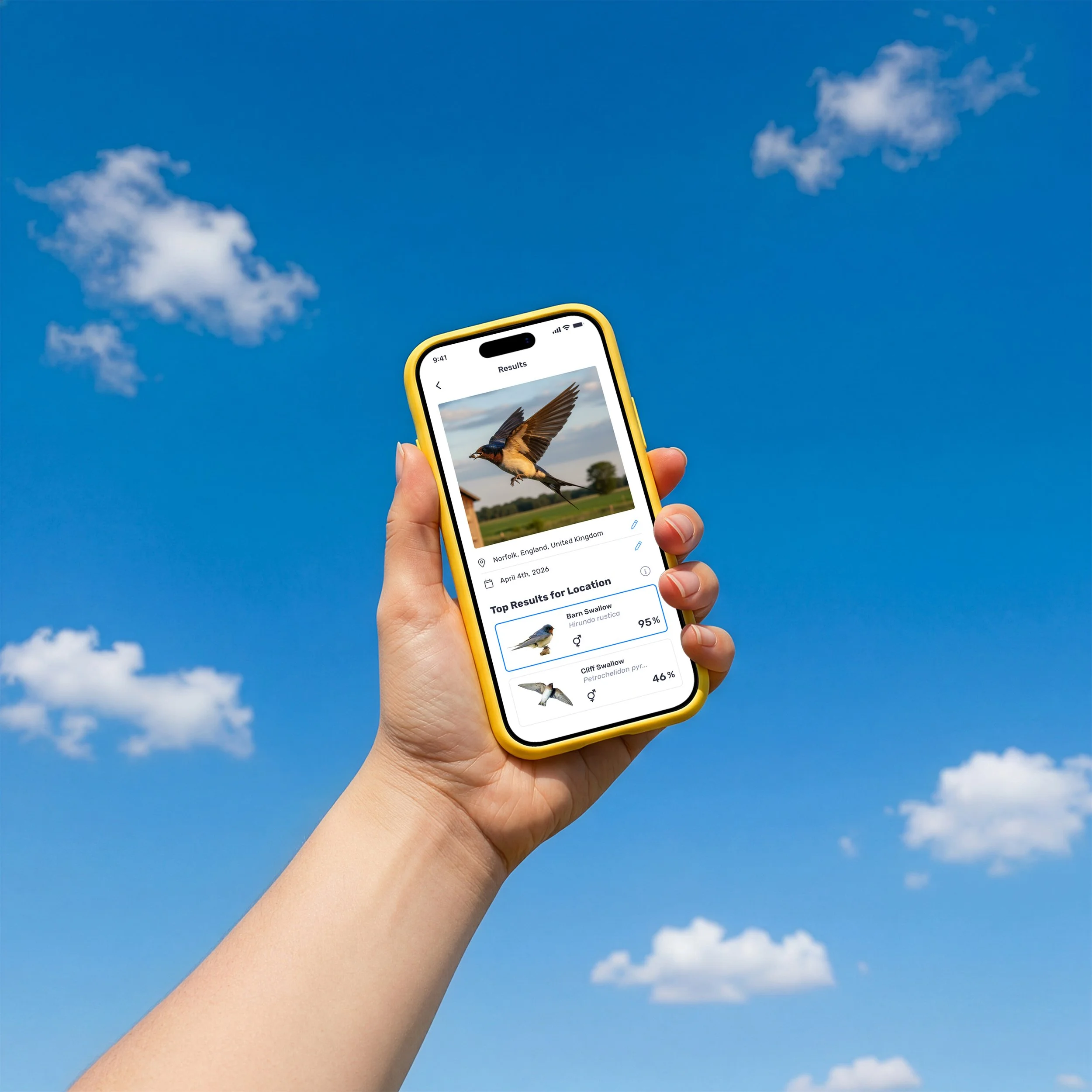 Birda app