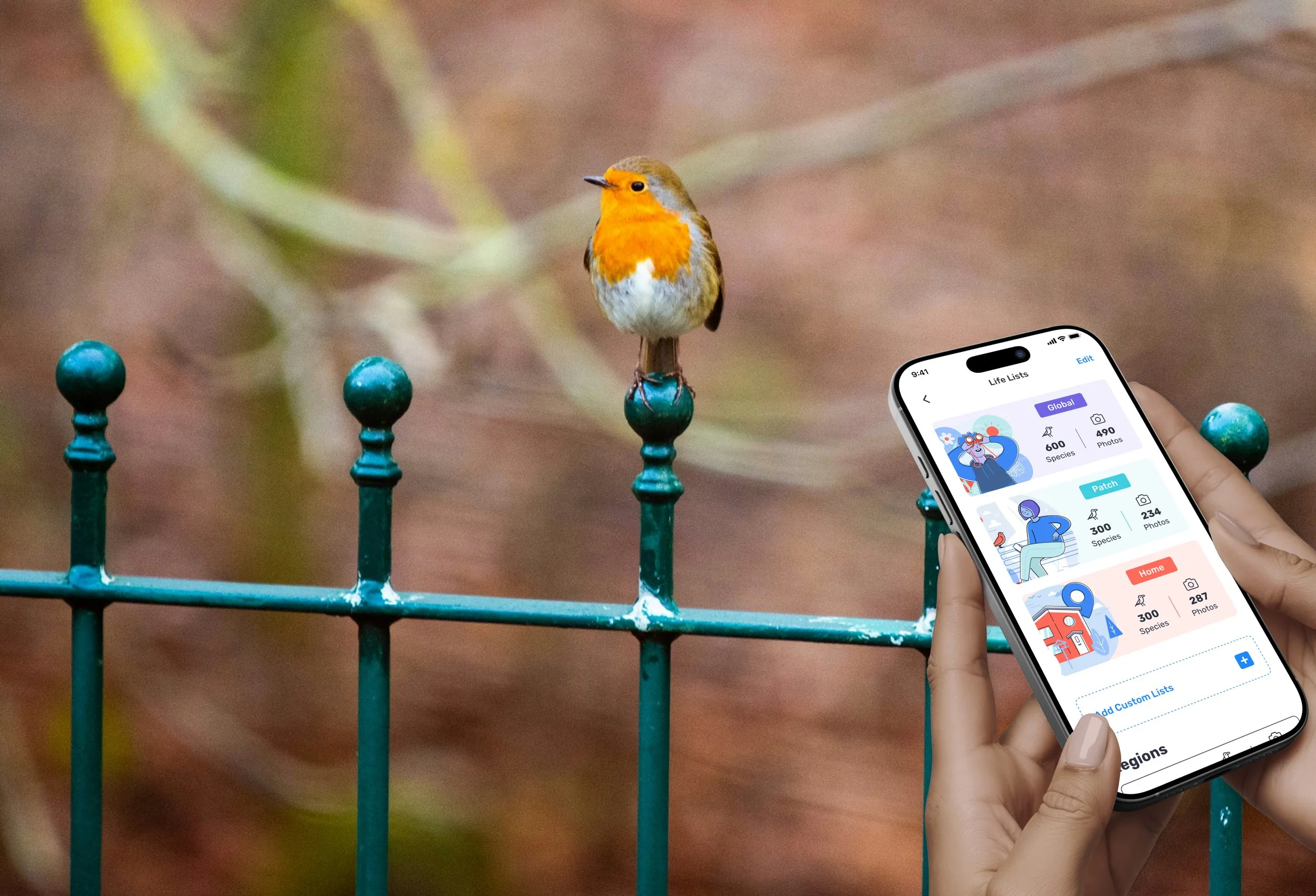 Birda Life Lists Redesign