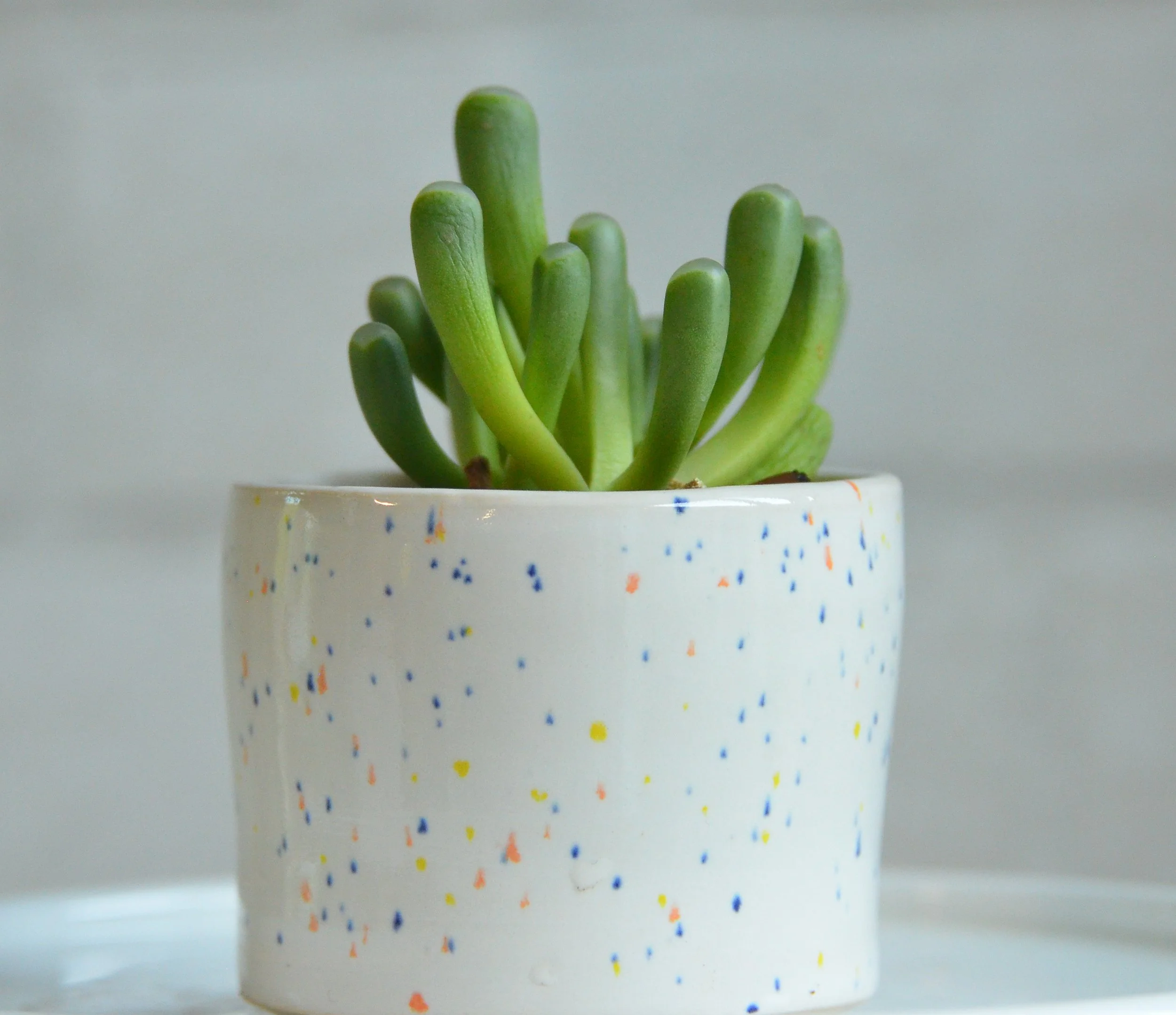mini pot, white stoneware, rainbow speckles