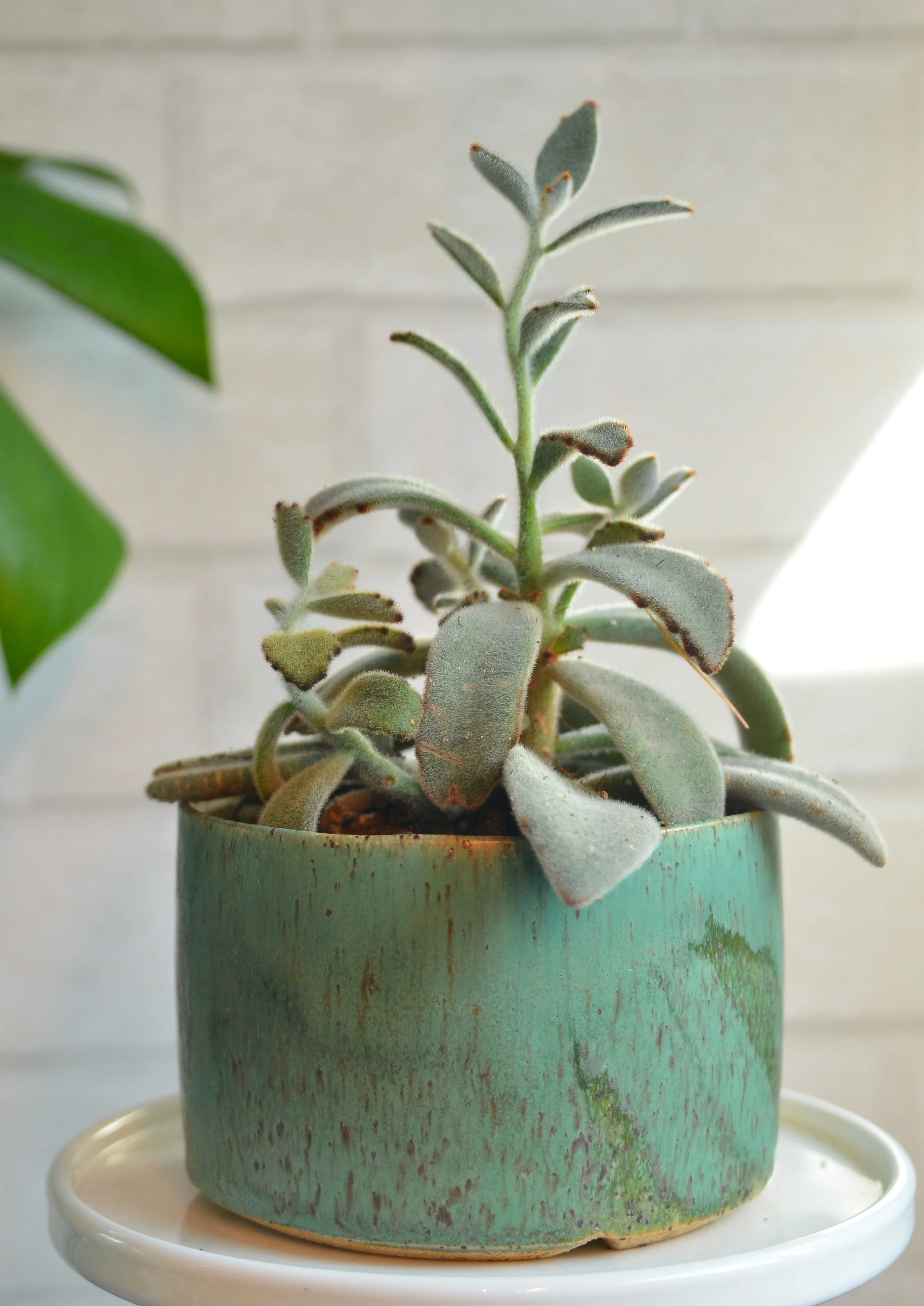 5" planter, speckled stoneware 
