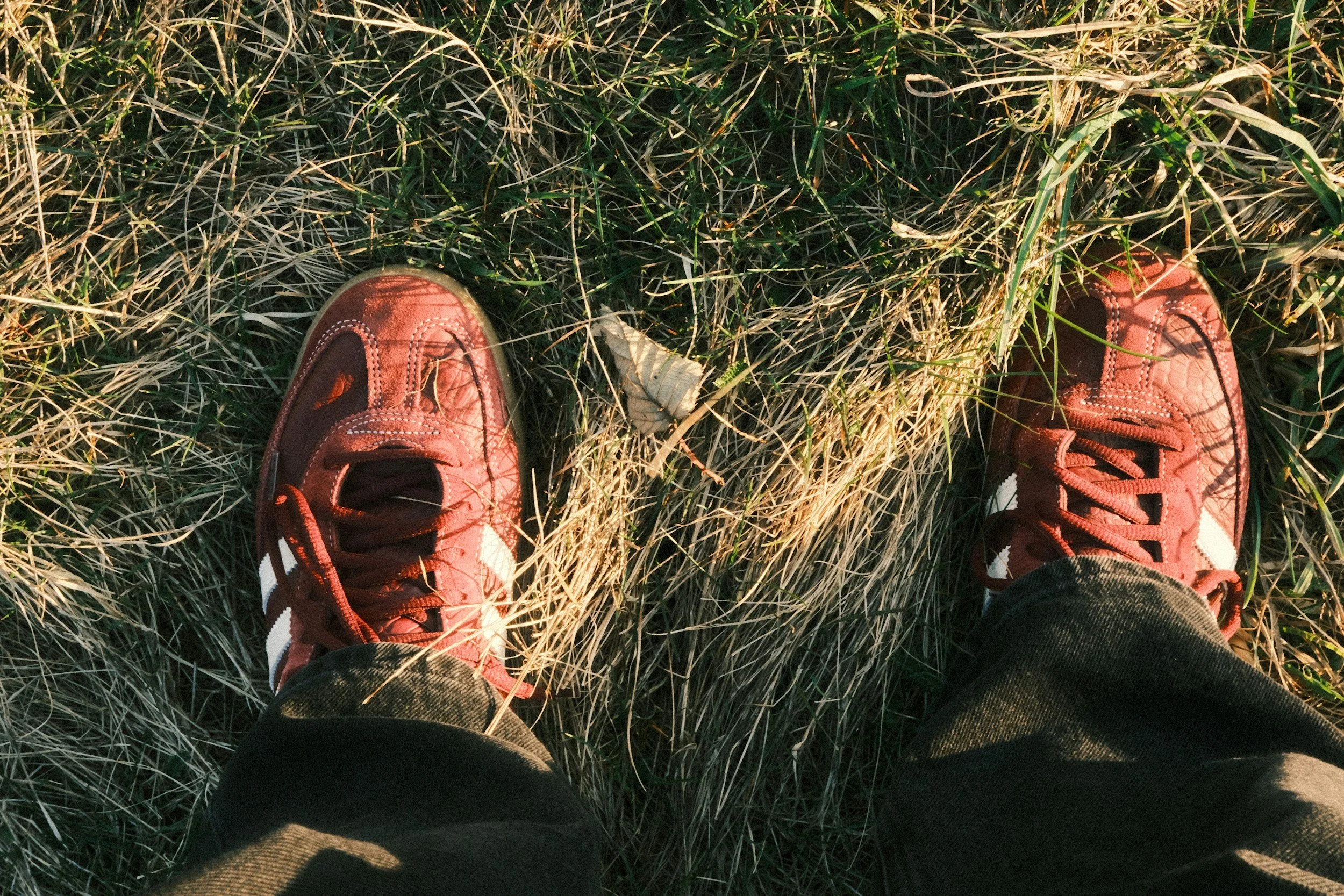 Listen, Learn, &amp; Serve