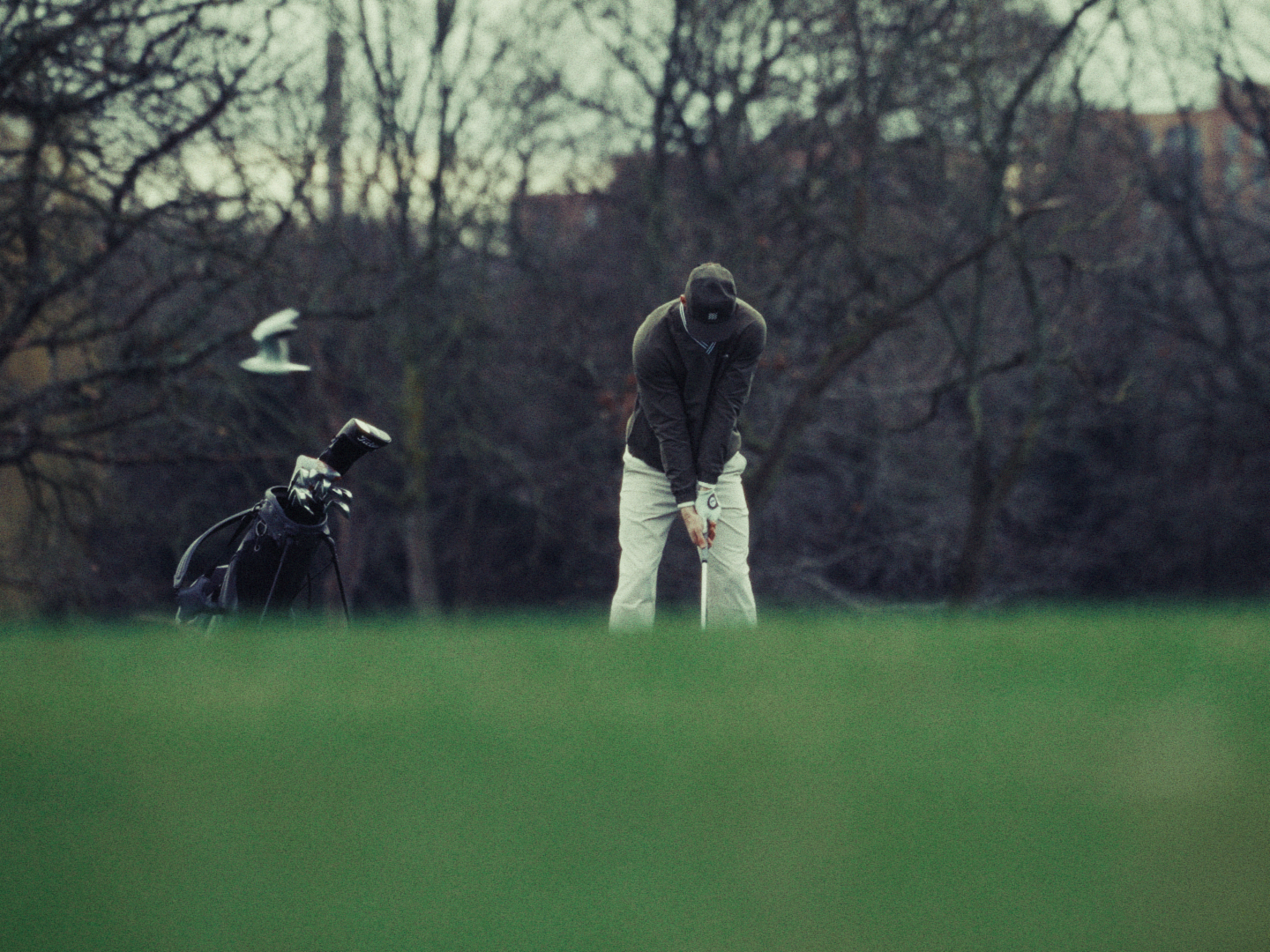 Still 2026-02-18 143904_5.1.1.png