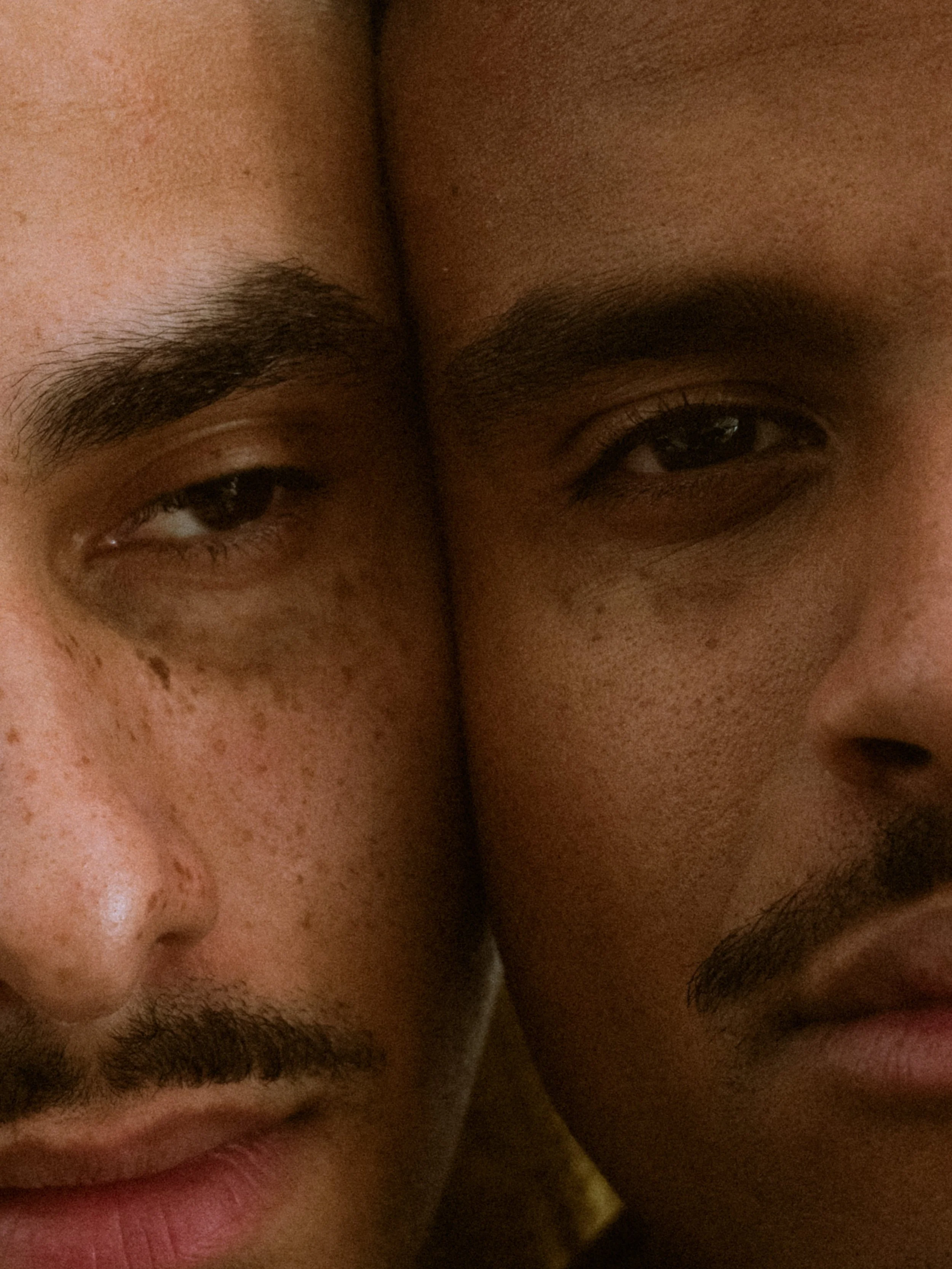 JJ_WILDEHAREN_COVER_FINAL_01-2 2.JPG