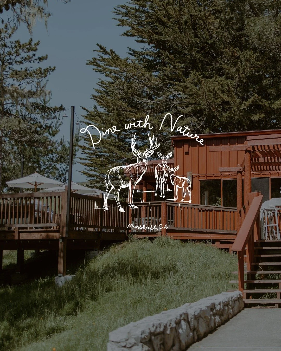 Wake up in the trees, wind down with something local. 
 
With our Dine with Nature offer, you&rsquo;ll receive a $50 daily dining credit to use at @mablesrestaurant. Think coastal flavors, thoughtful plates, and dinners that stretch into evening. 
 
